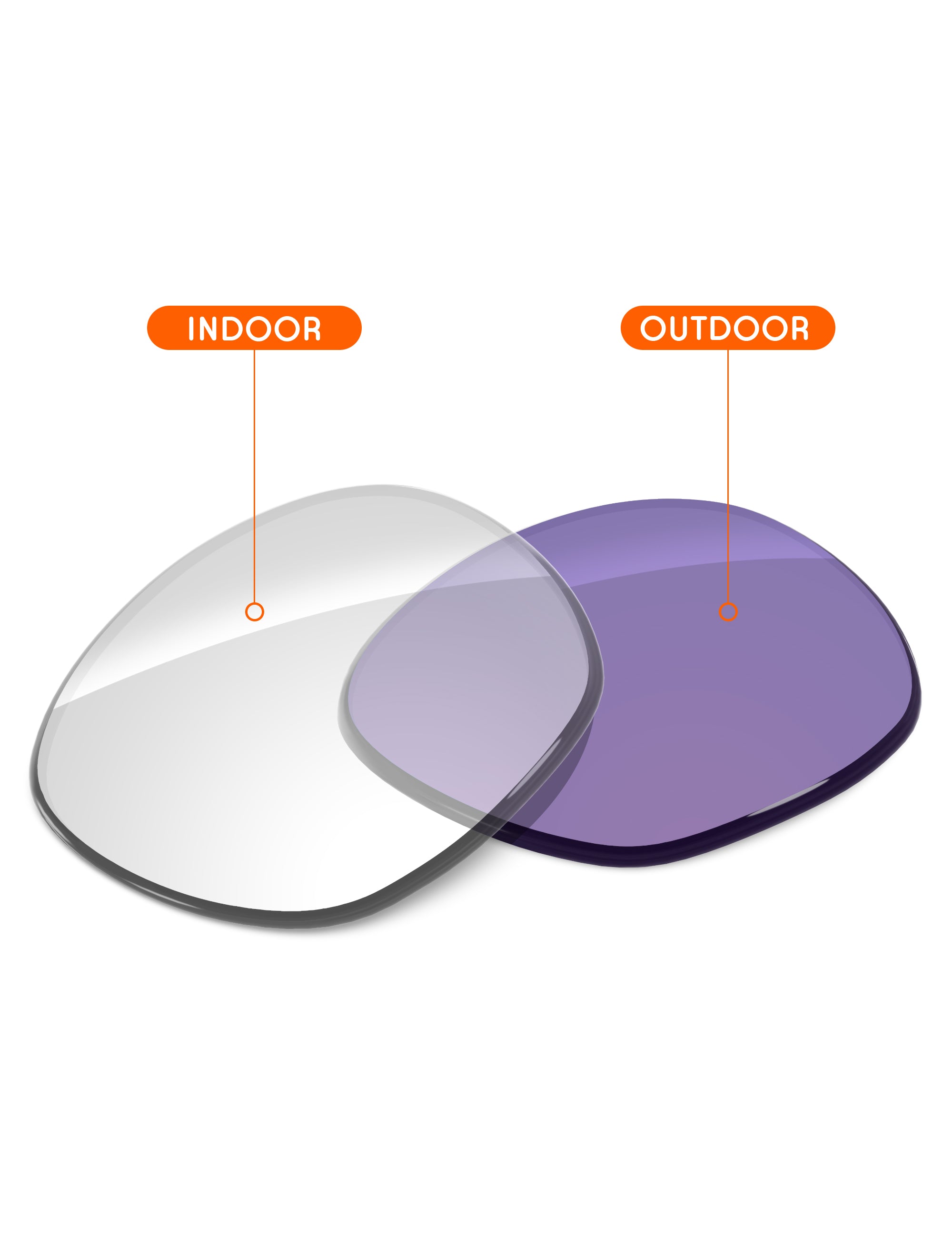 Adapt Purple Photochromic Blue Light Blocking-Non-Polarized