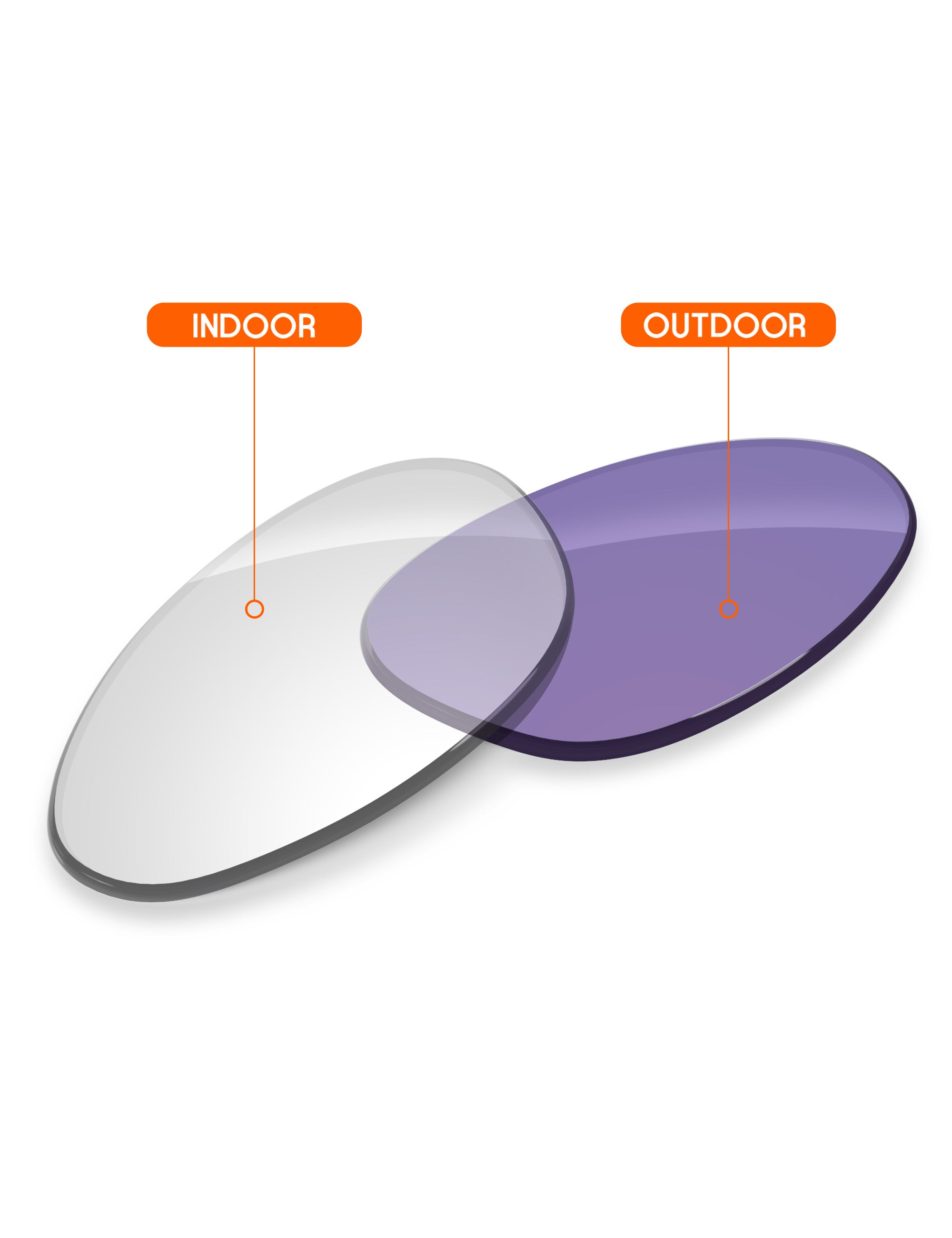 Adapt Purple Photochromic Blue Light Blocking-Non-Polarized