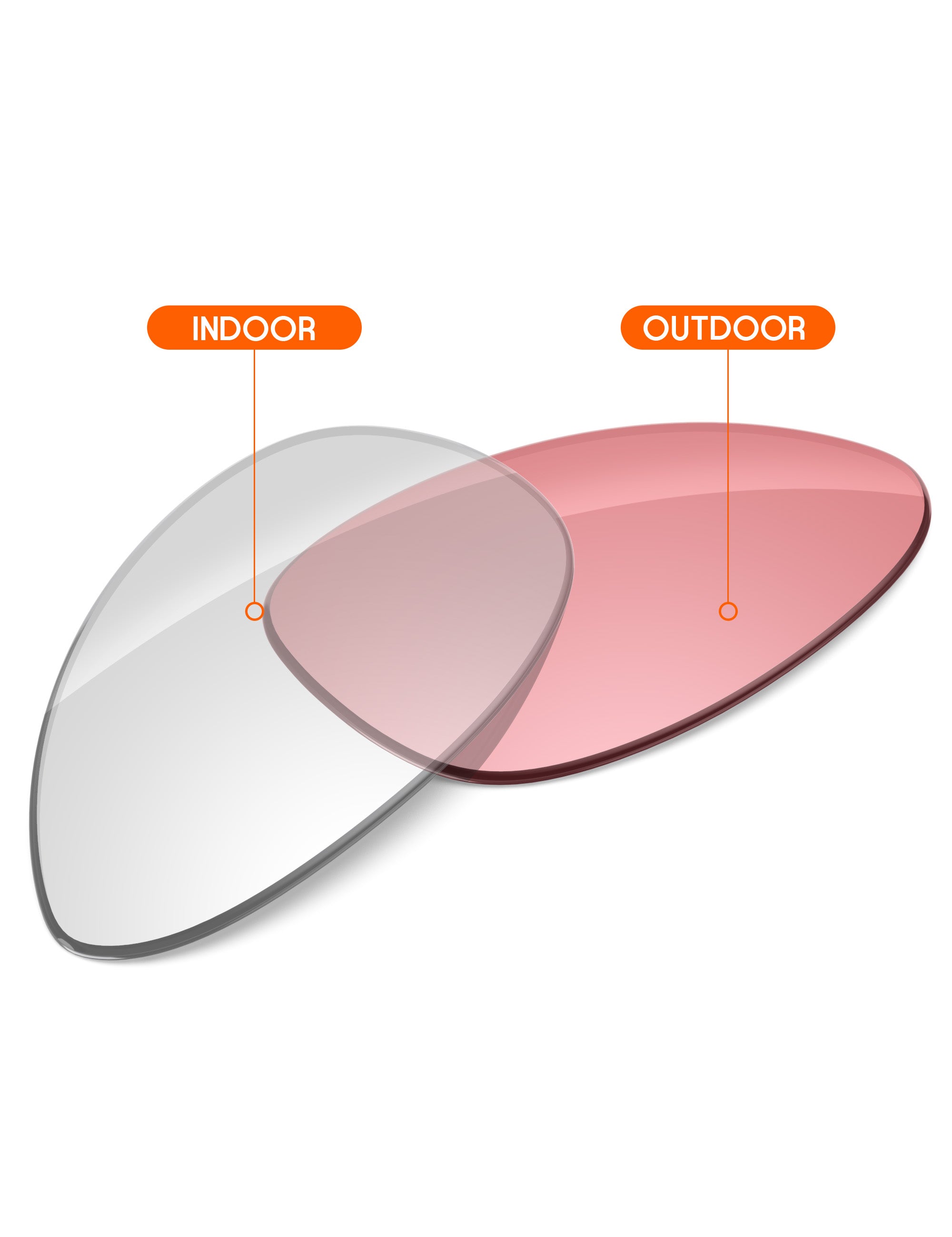 Adapt Pink Photochromic Blue Light Blocking-Non-Polarized