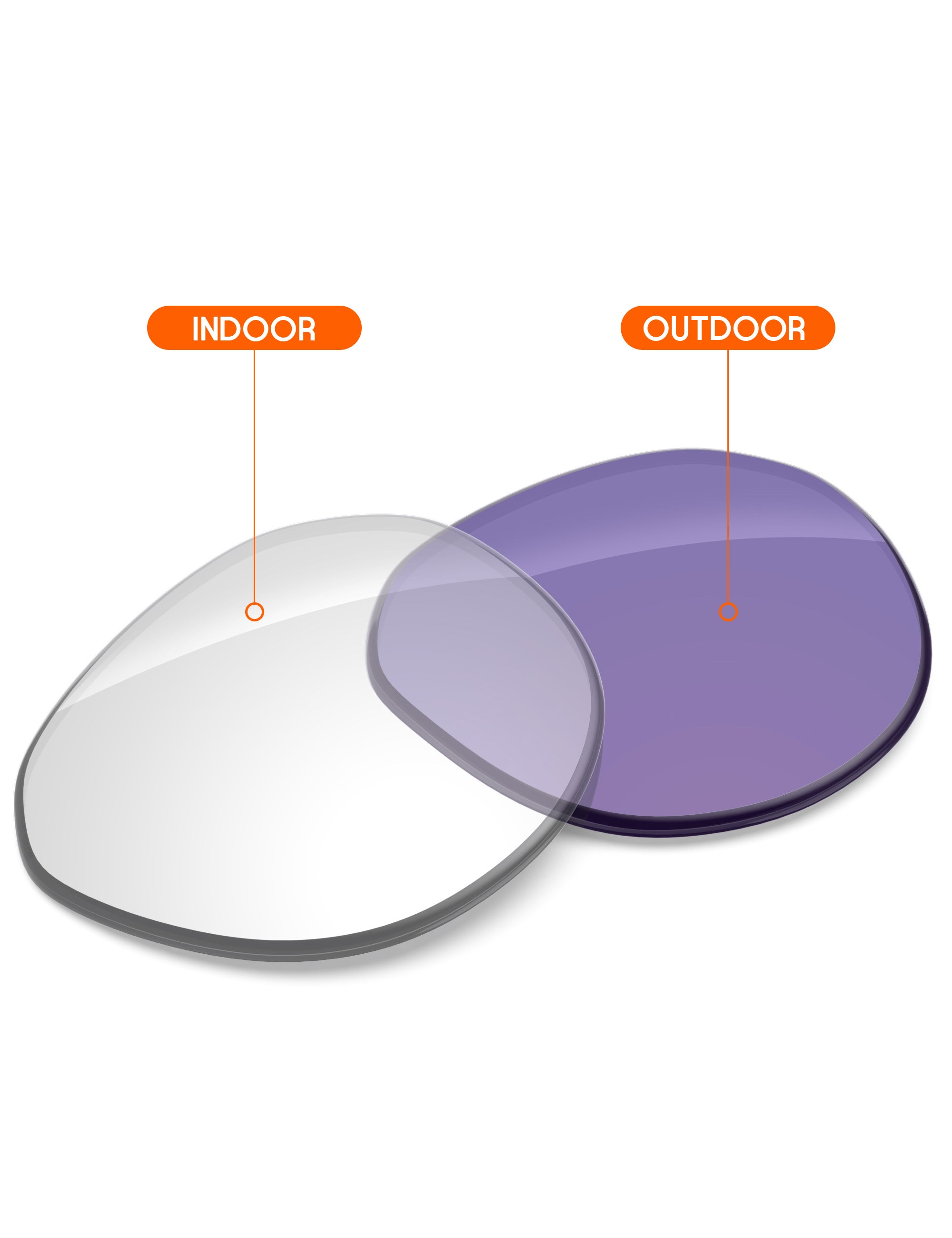 Adapt Purple Photochromic-Non-Polarized