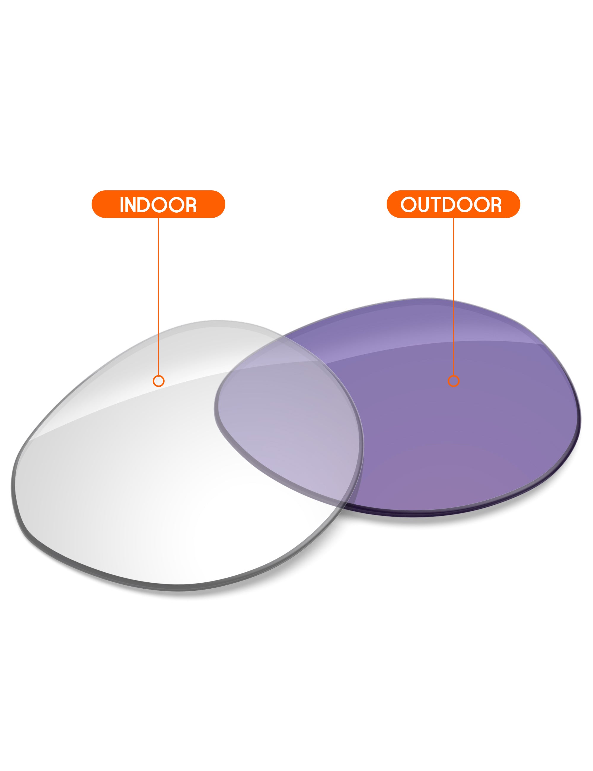 Adapt Purple Photochromic-Non-Polarized
