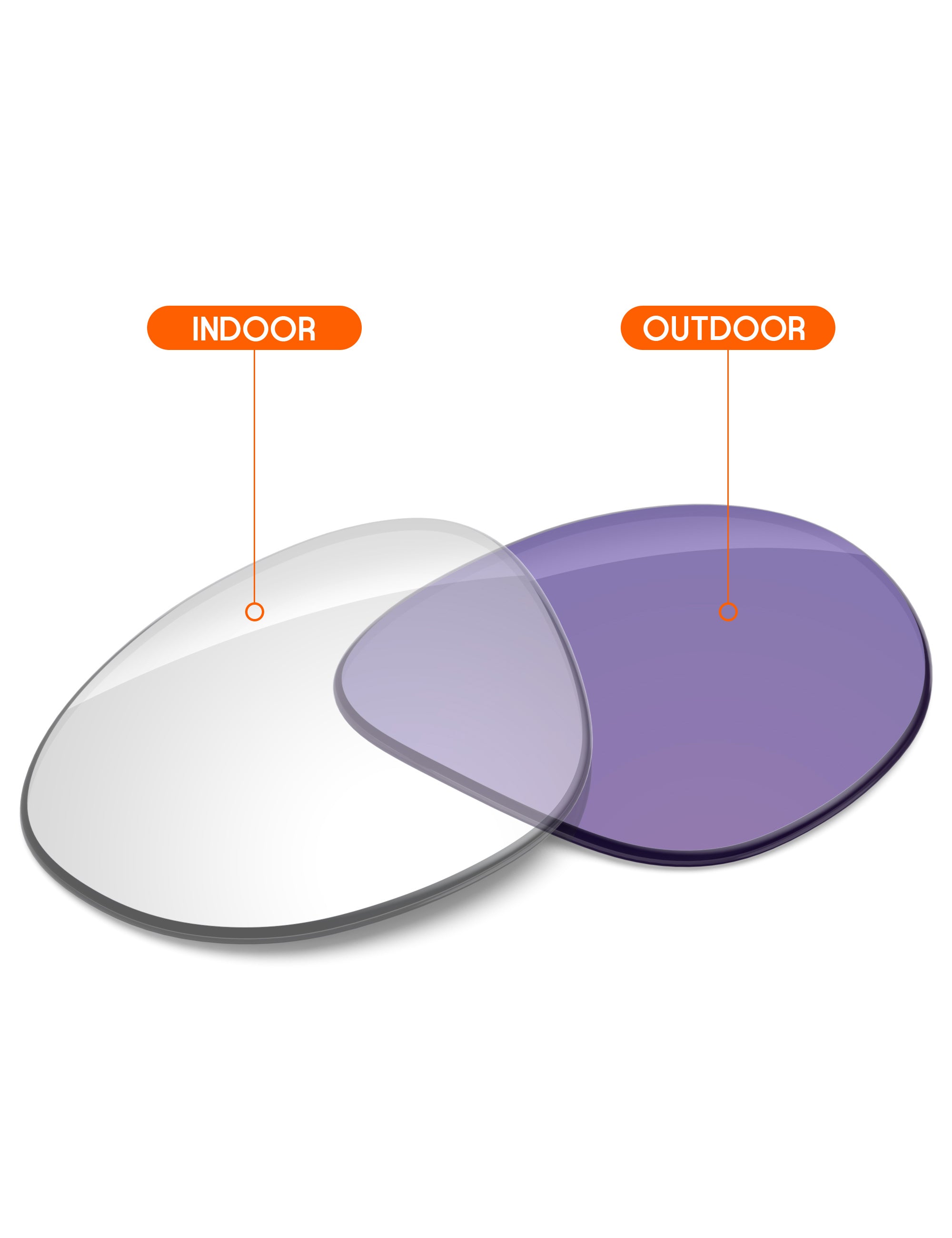 Adapt Purple Photochromic-Non-Polarized