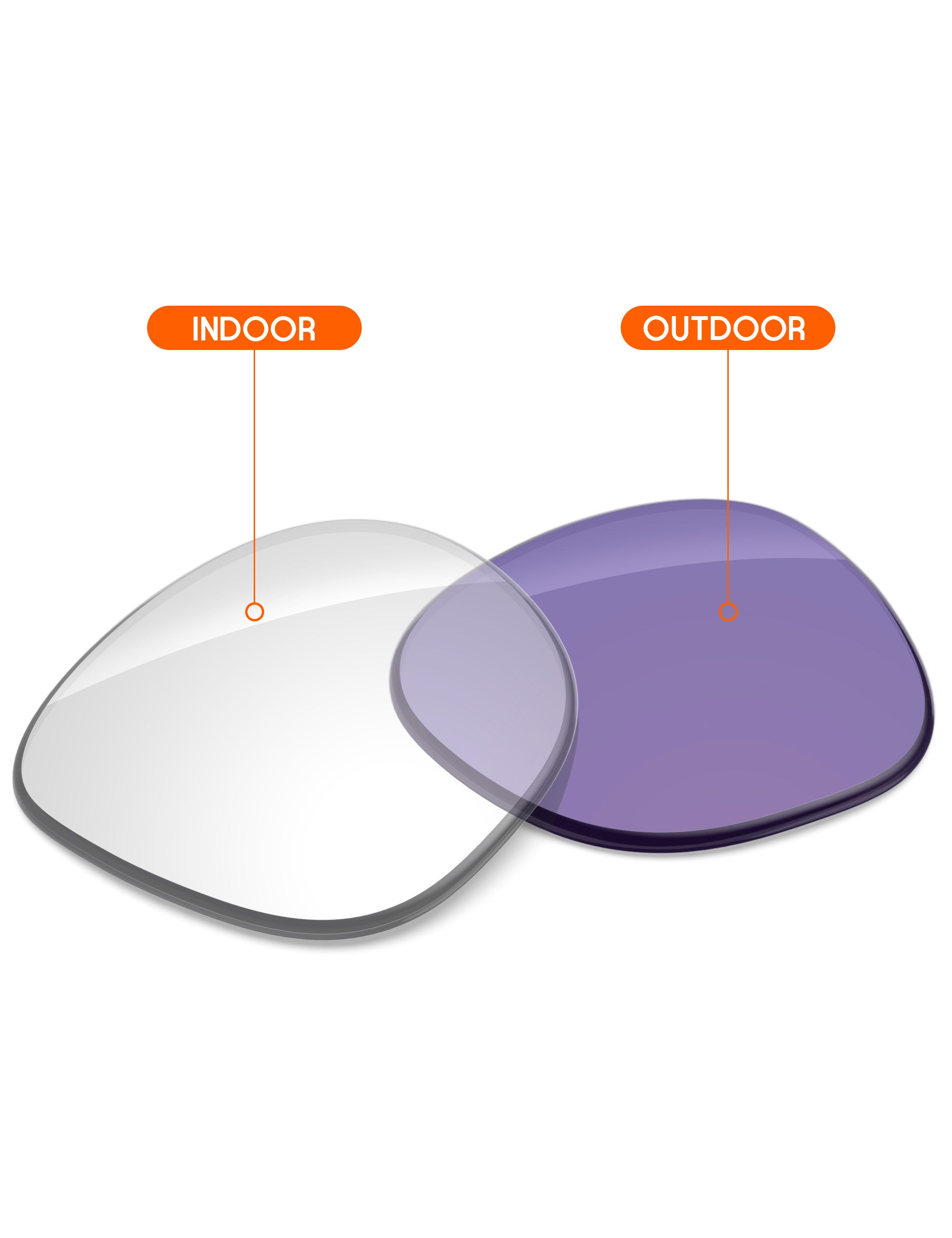 Adapt Purple Photochromic-Non-Polarized