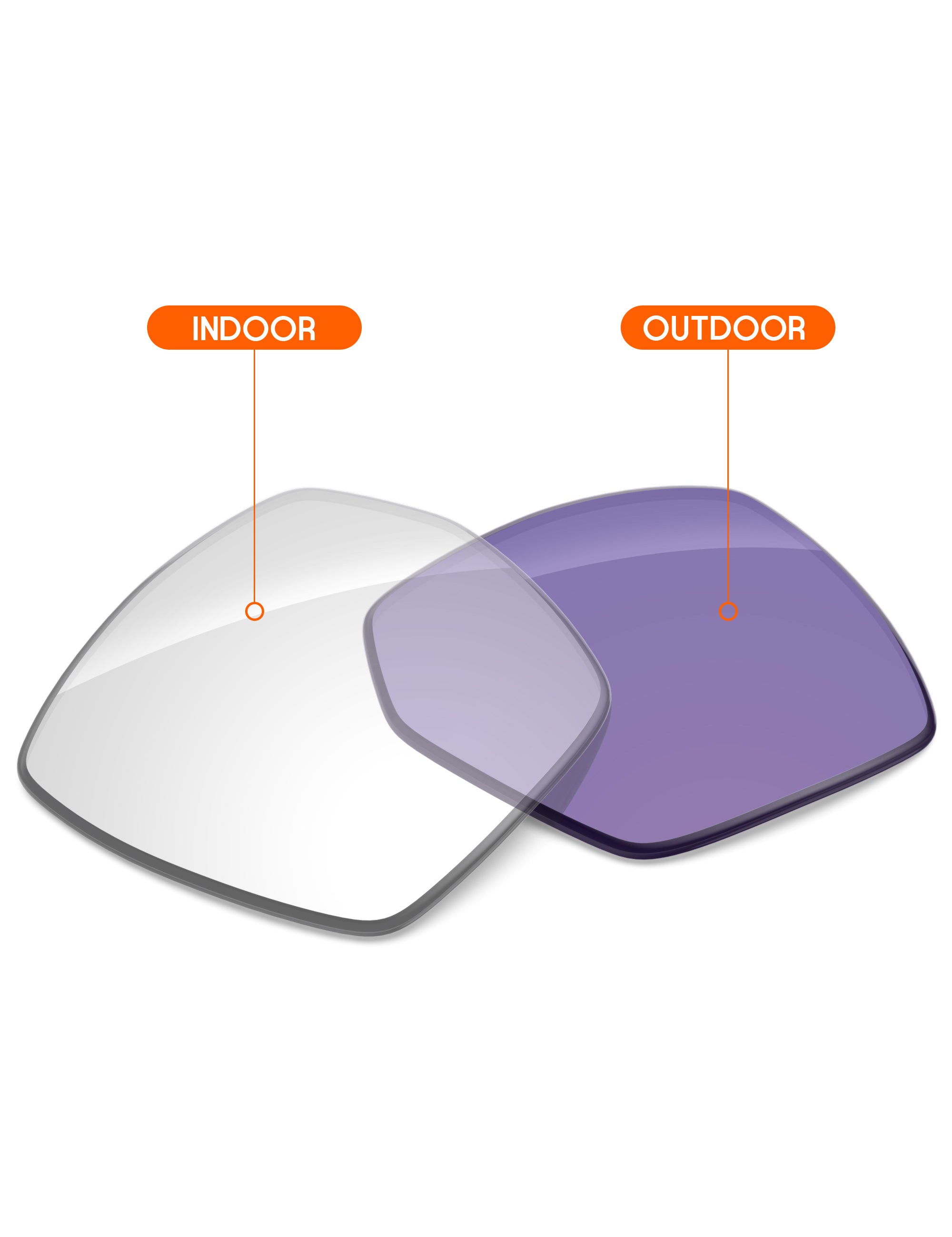 Adapt Purple Photochromic-Non-Polarized