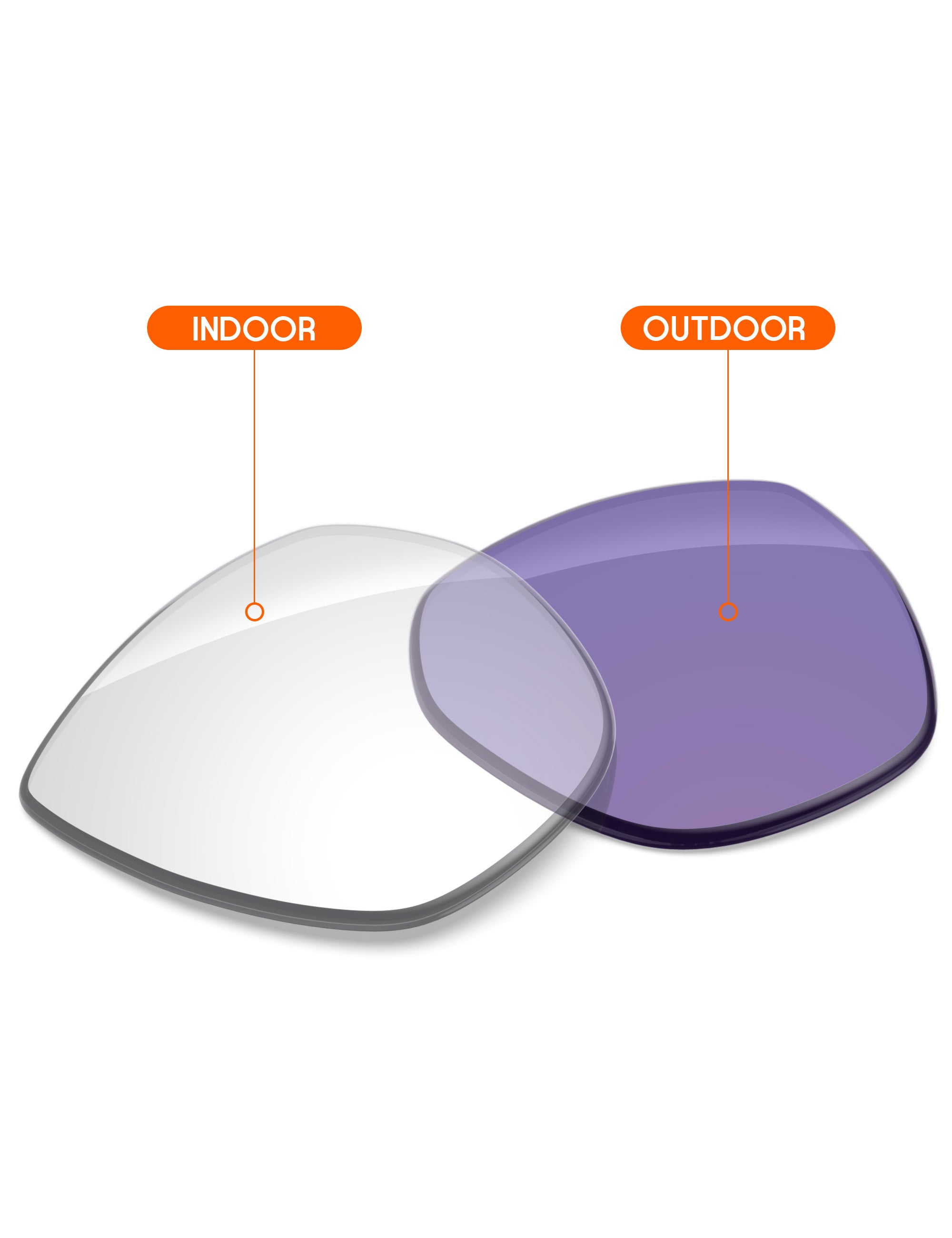 Adapt Purple Photochromic-Non-Polarized