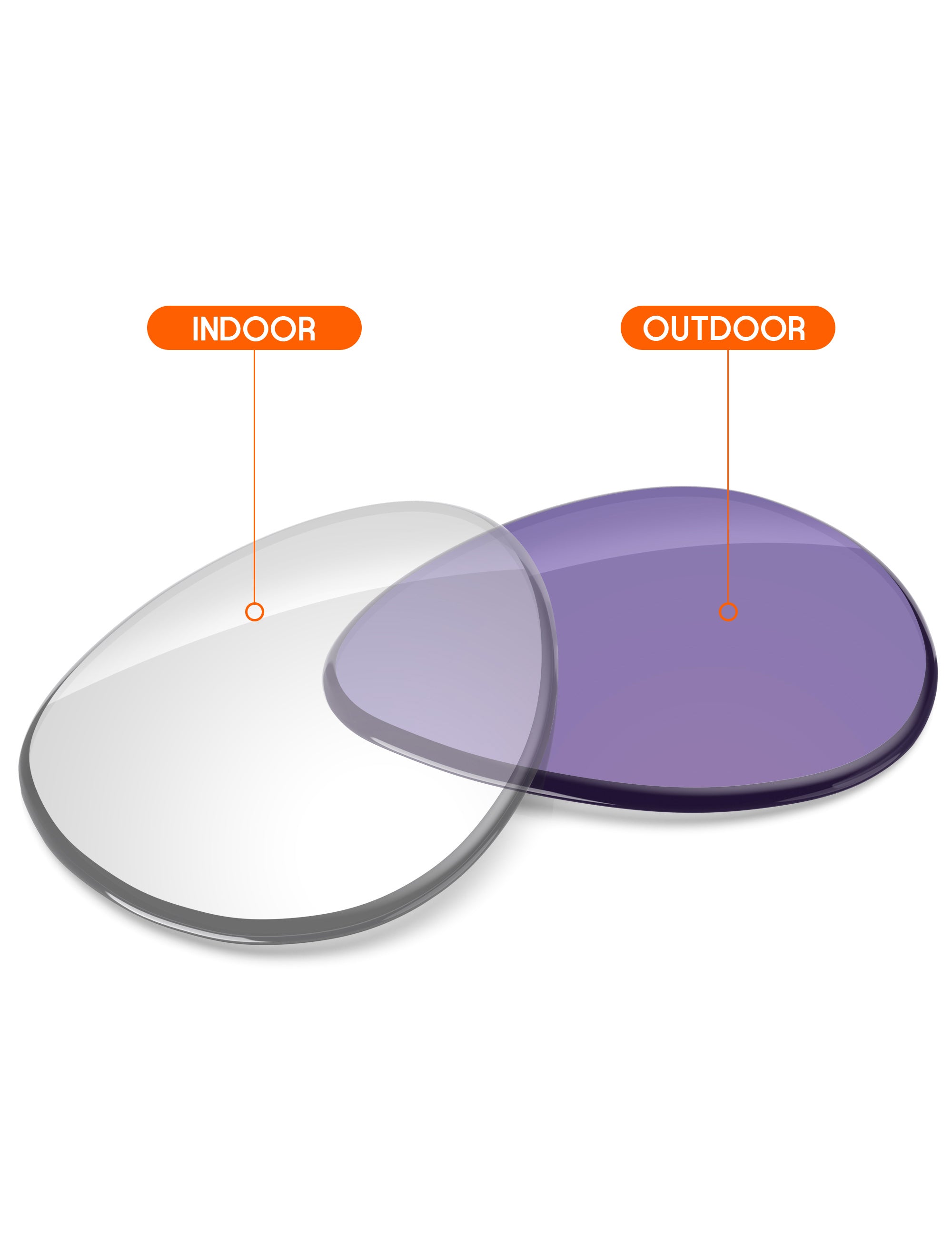 Adapt Purple Photochromic-Non-Polarized