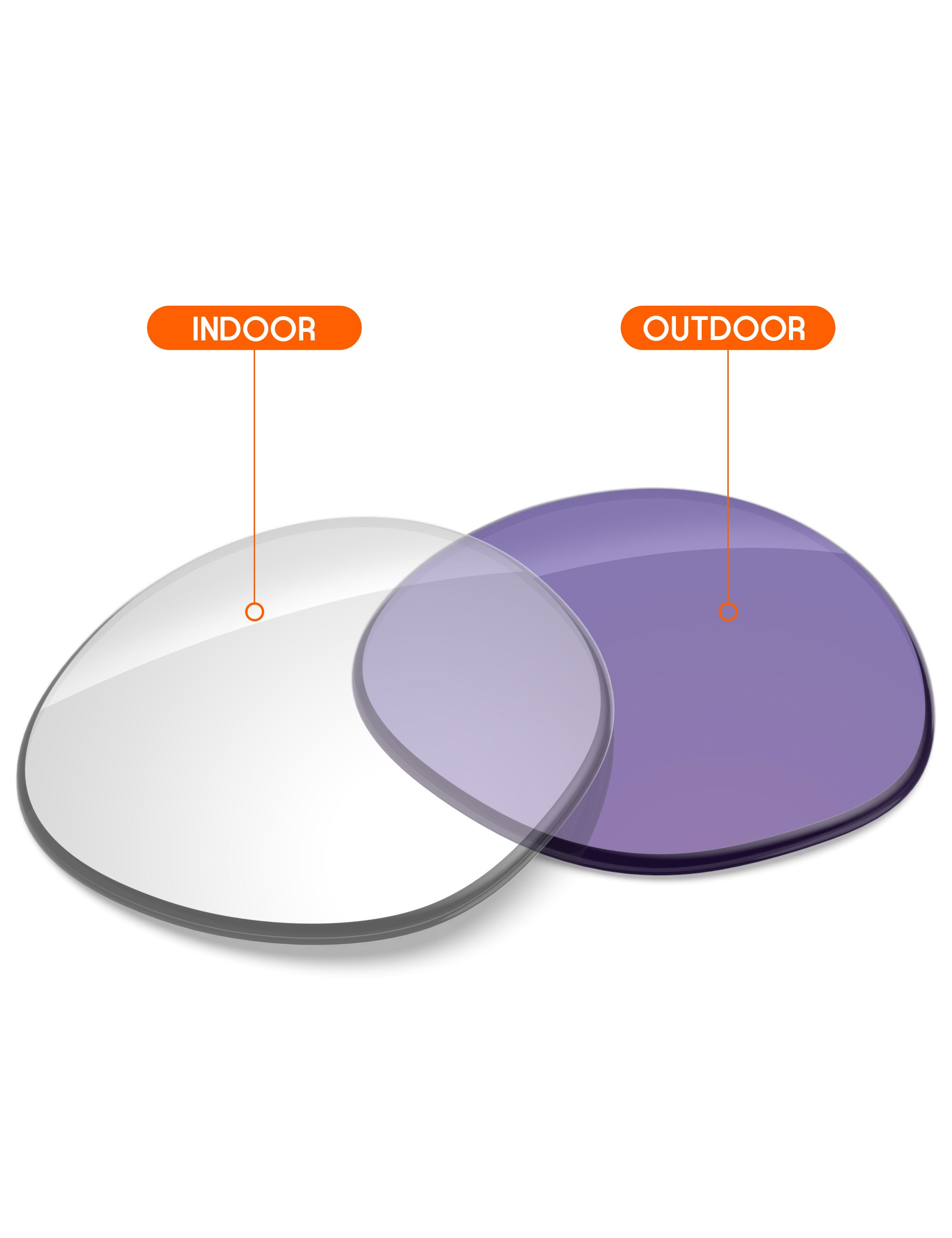 Adapt Purple Photochromic-Non-Polarized