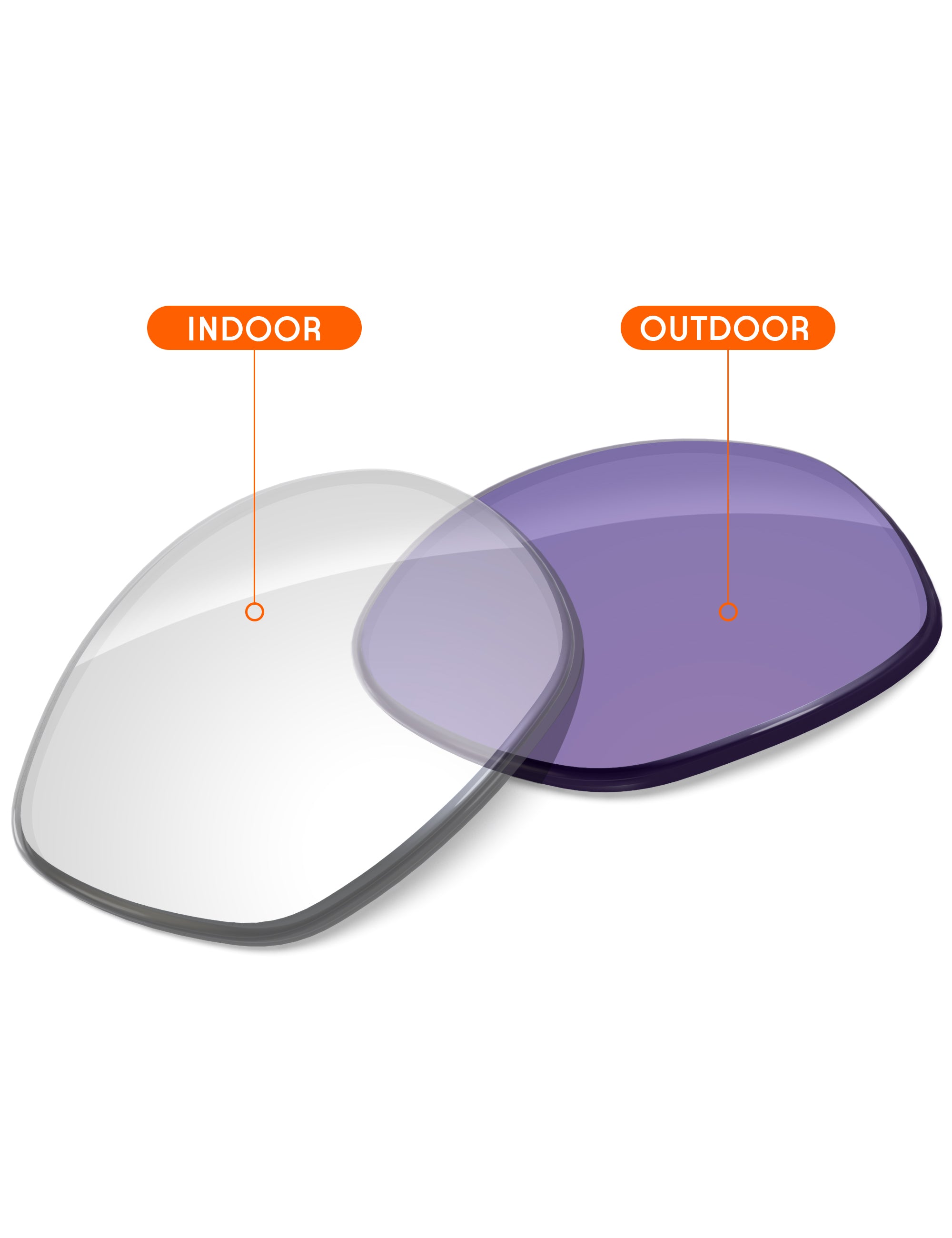 Adapt Purple Photochromic-Non-Polarized