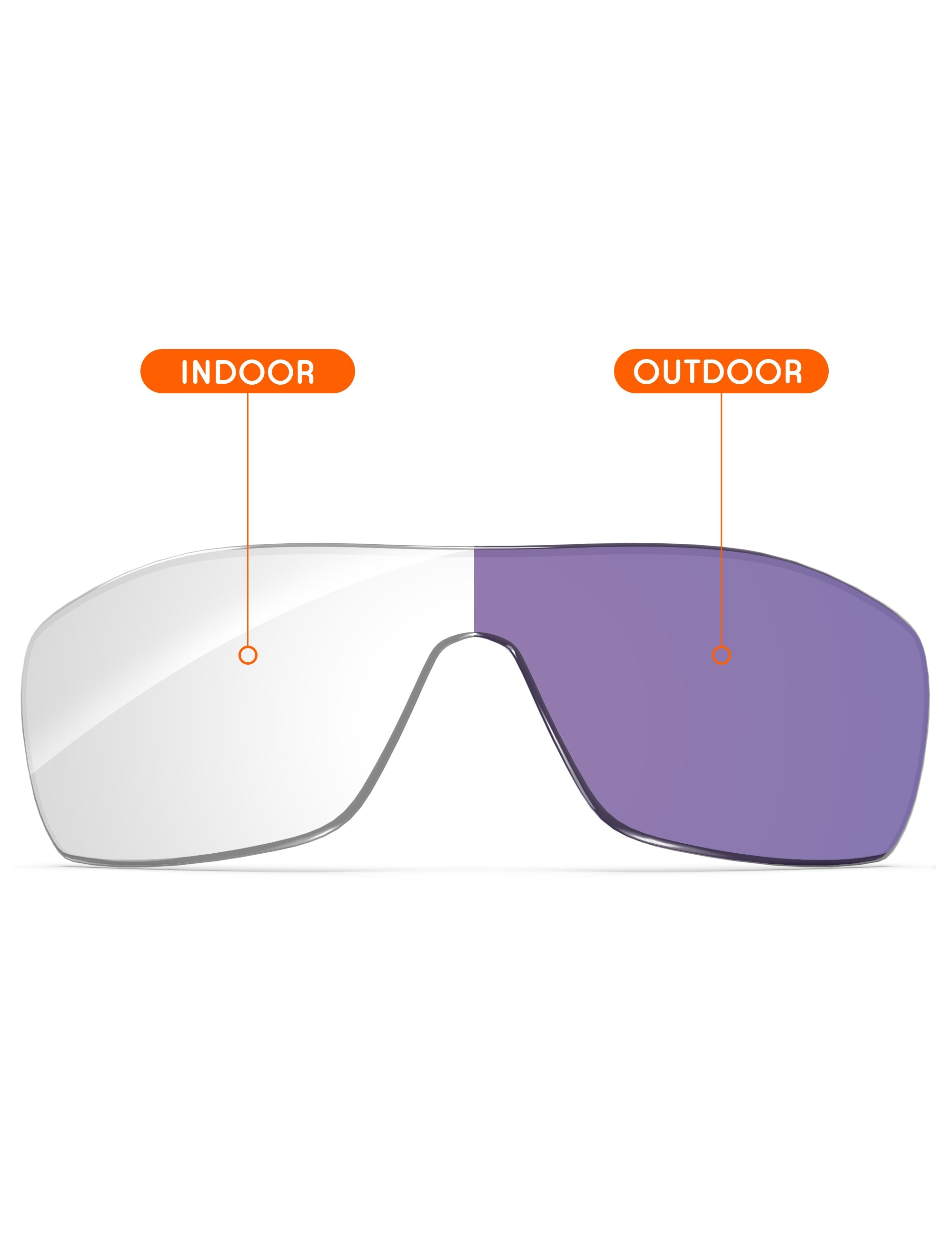 Adapt Purple Photochromic-Non-Polarized