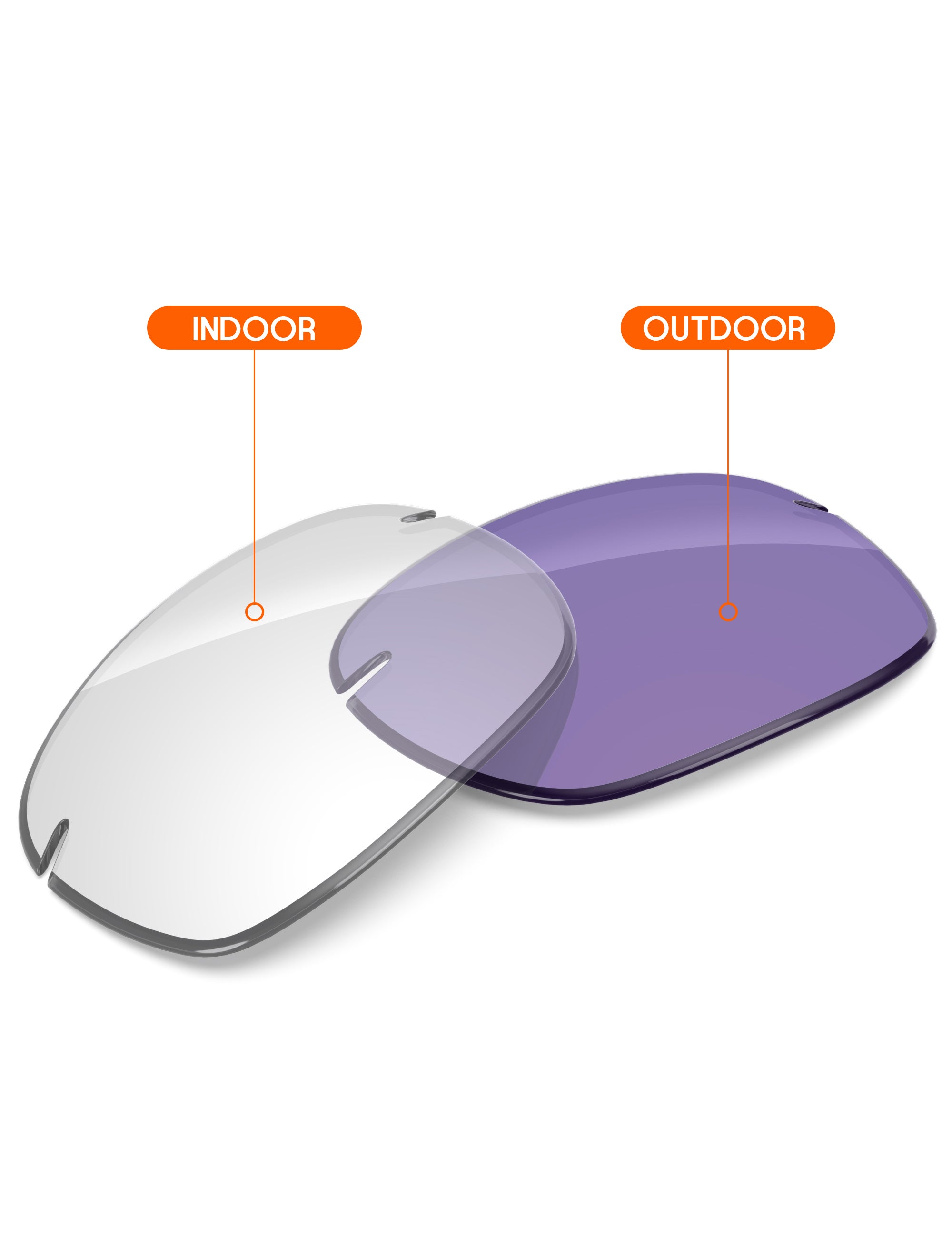 Adapt Purple Photochromic-Non-Polarized