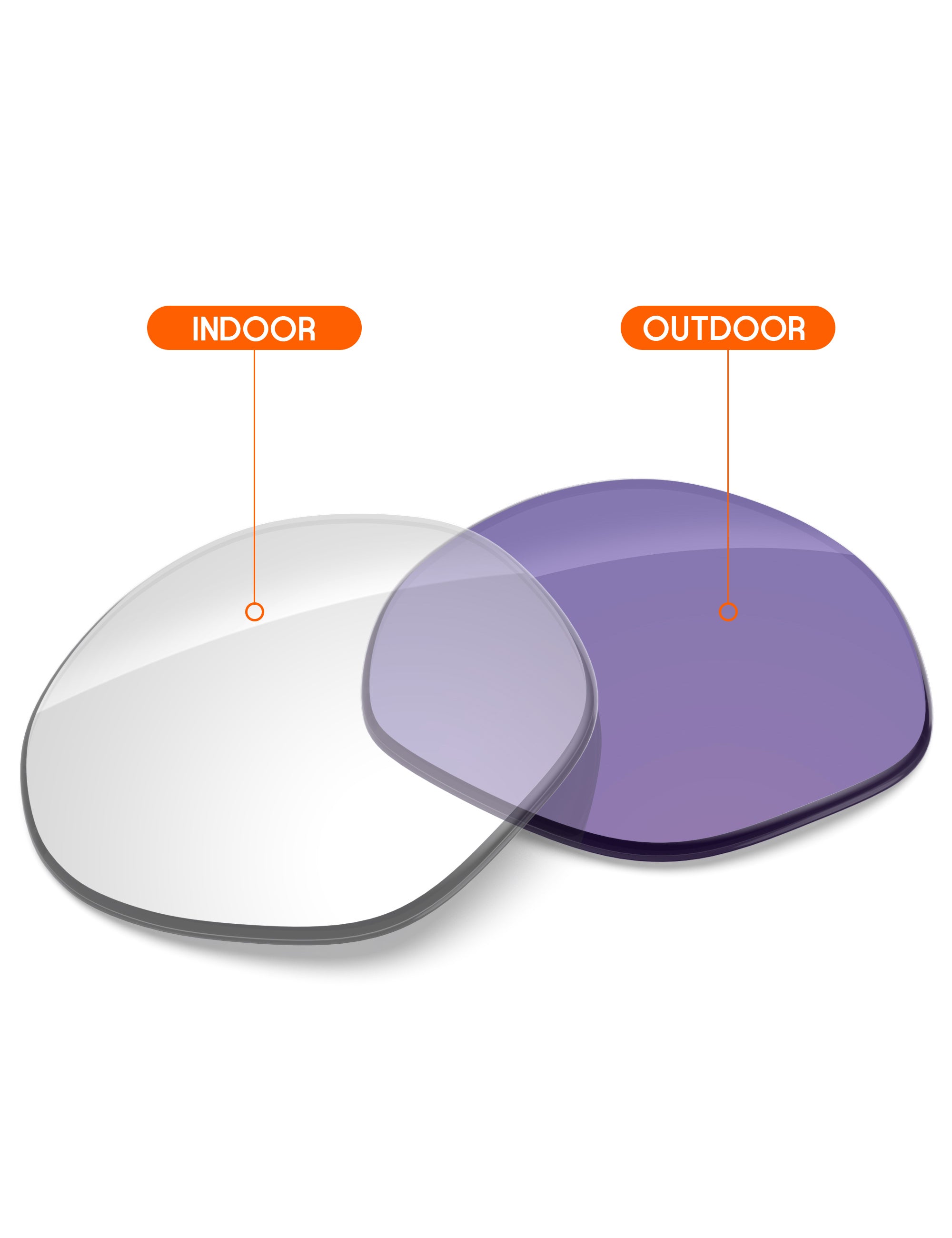 Adapt Purple Photochromic-Non-Polarized