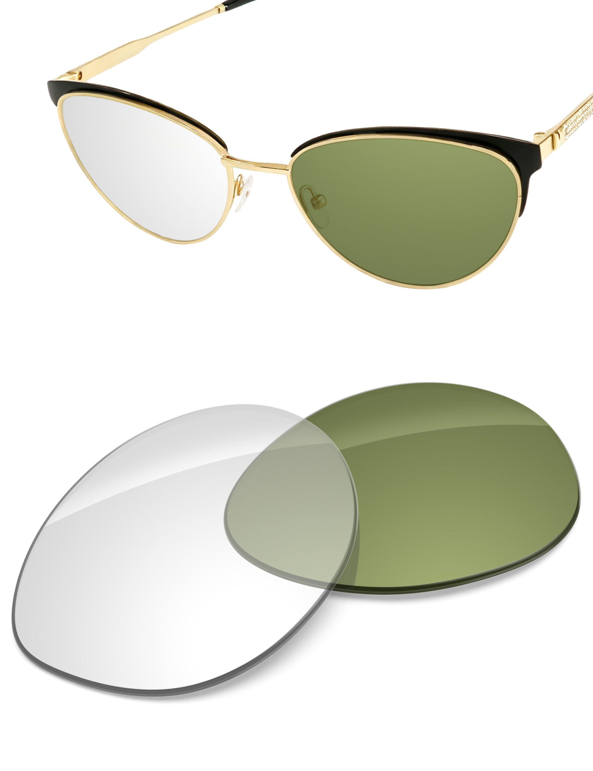Adapt Green Photochromic-Non-Polarized
