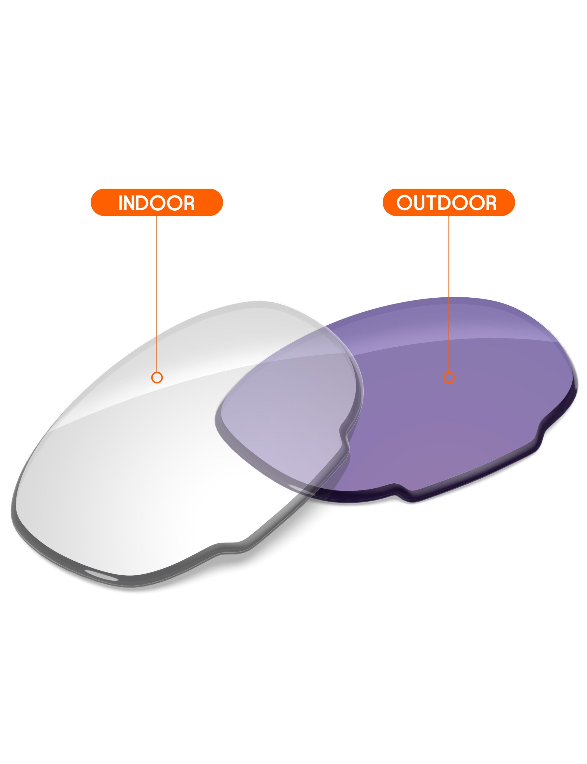 Adapt Purple Photochromic-Non-Polarized