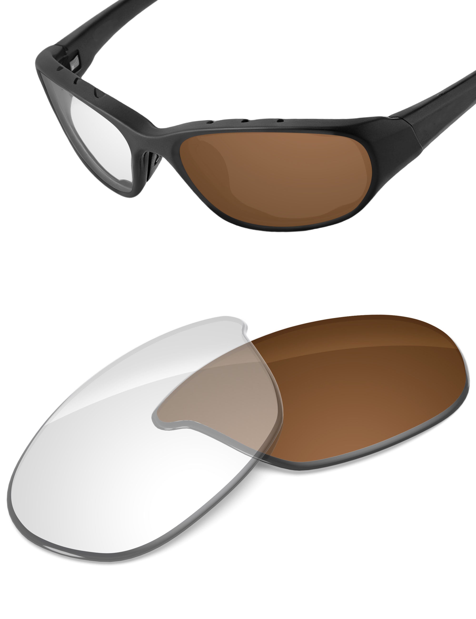 Adapt Brown Photochromic-Non-Polarized