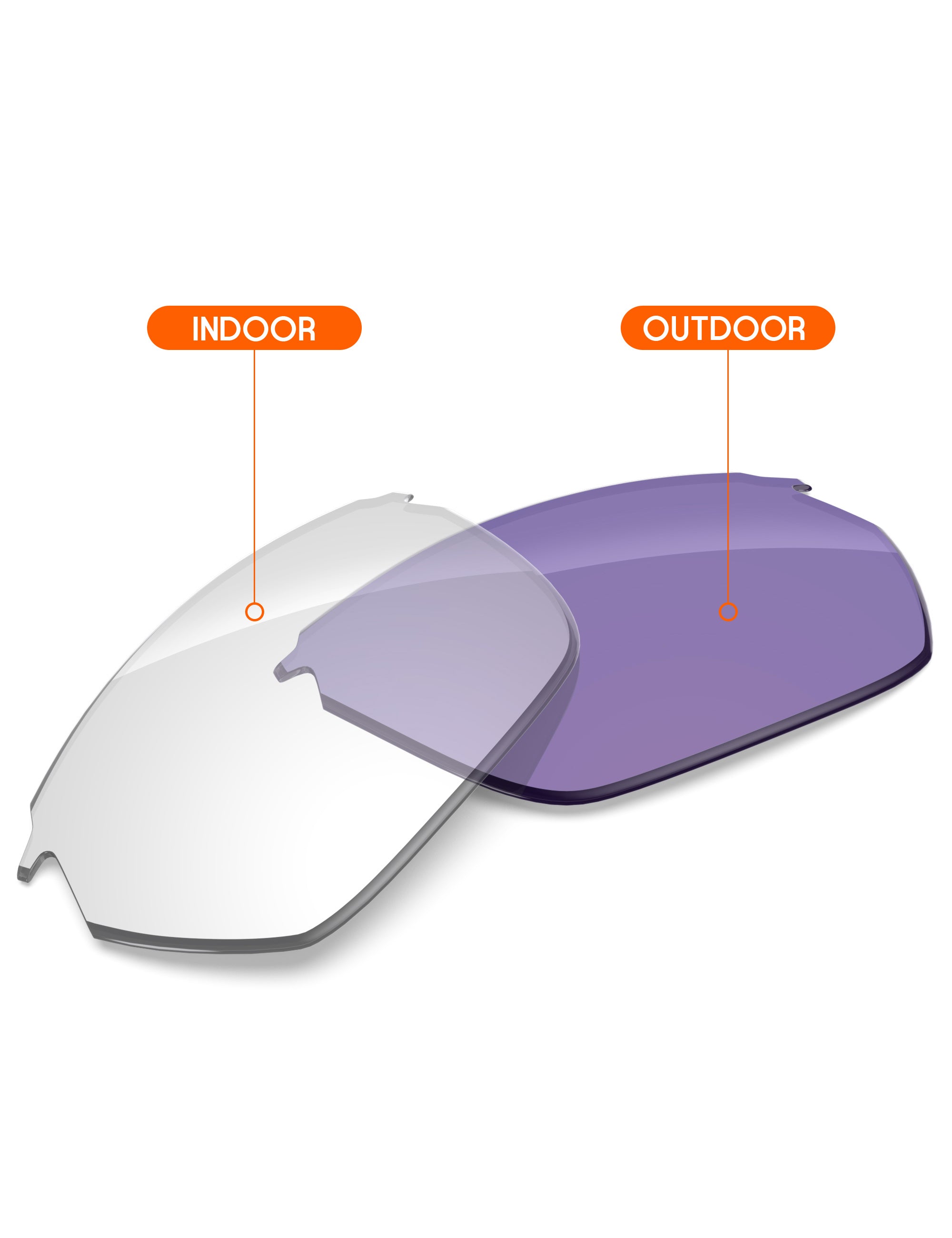Adapt Purple Photochromic-Non-Polarized