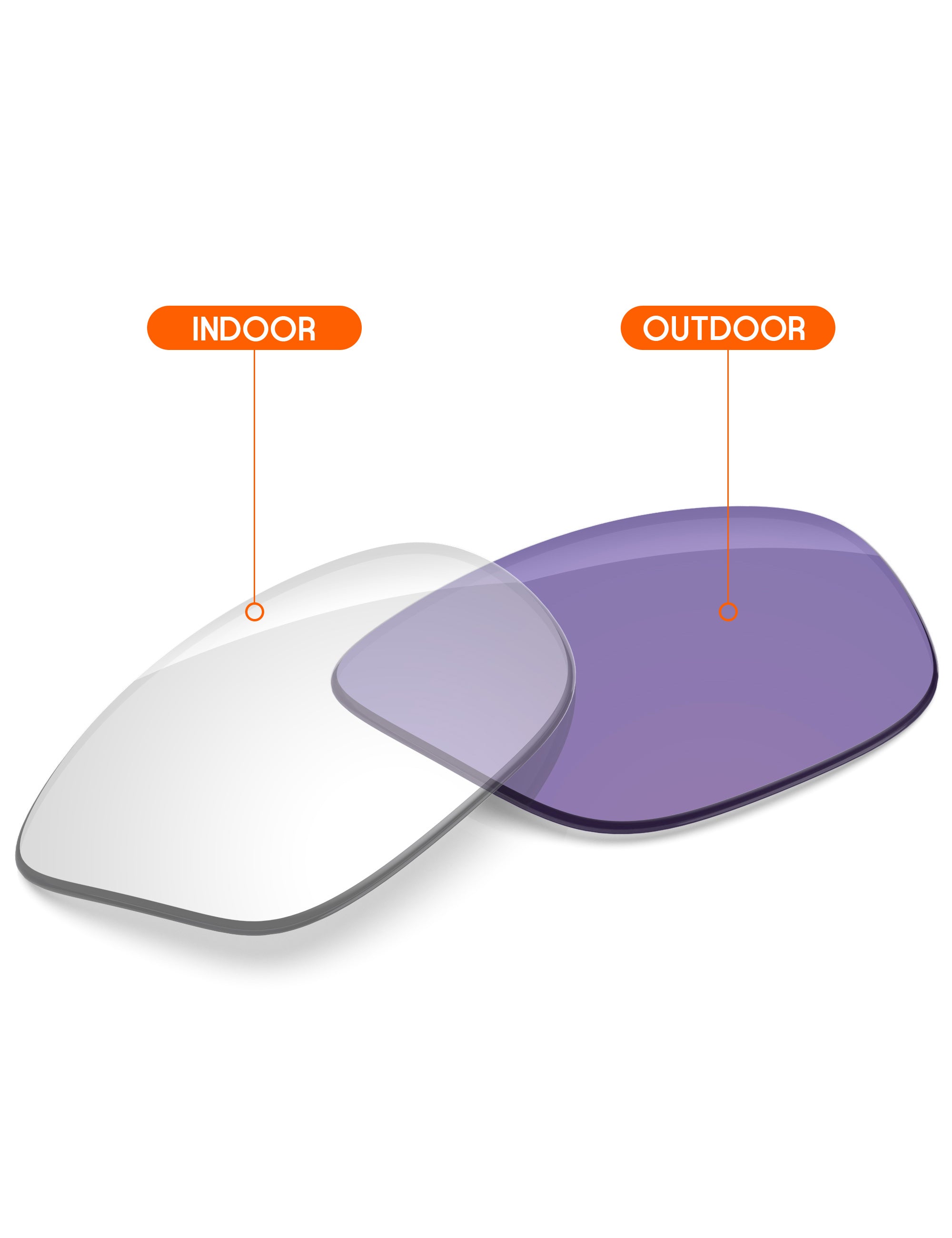 Adapt Purple Photochromic-Non-Polarized