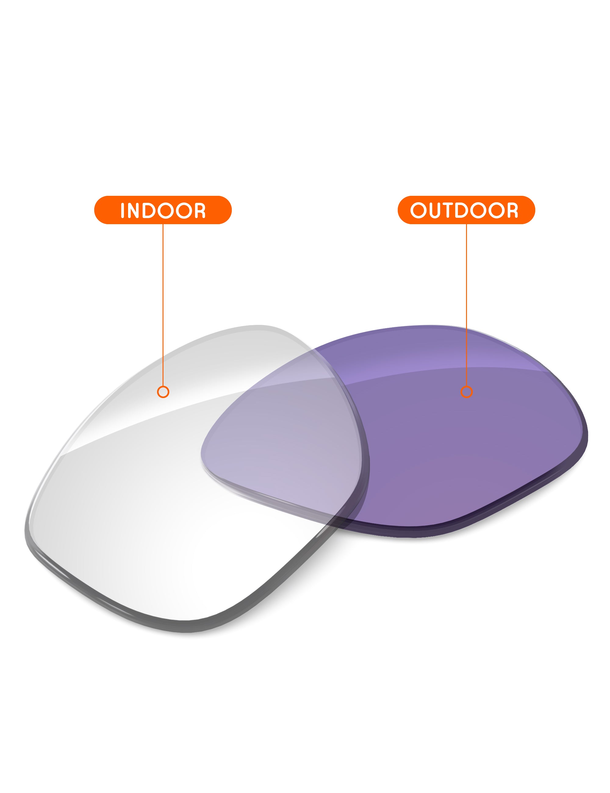 Adapt Purple Photochromic-Non-Polarized