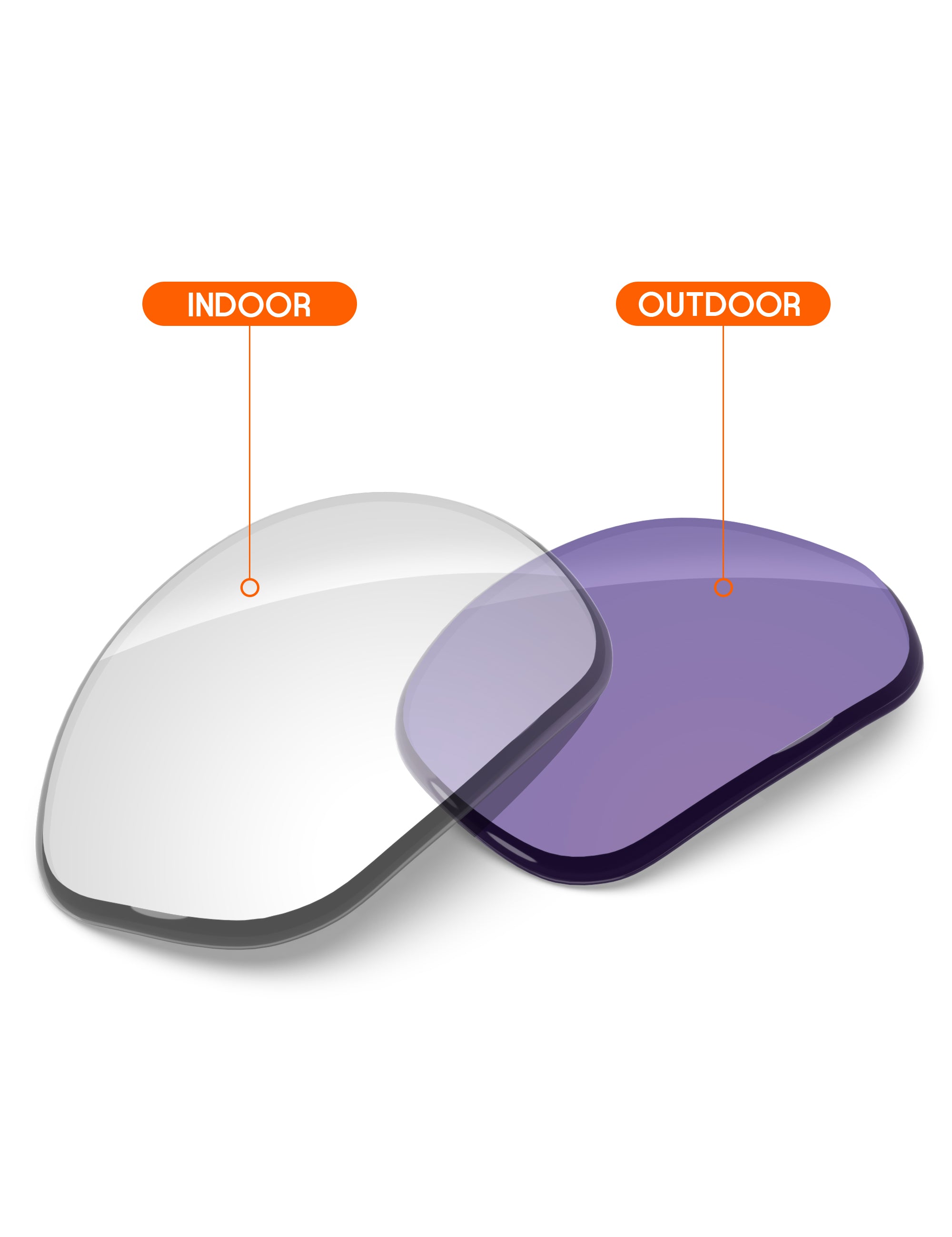 Adapt Purple Photochromic-Non-Polarized