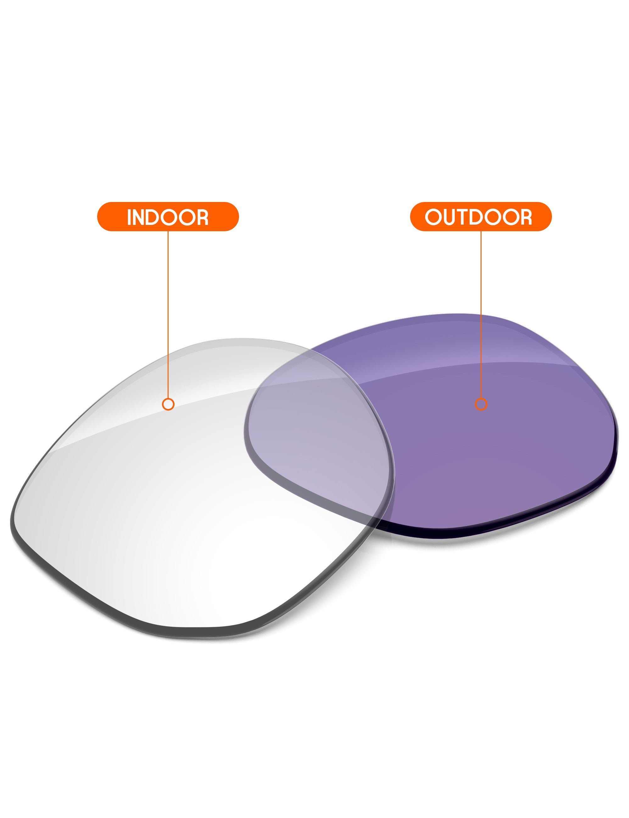 Adapt Purple Photochromic-Non-Polarized