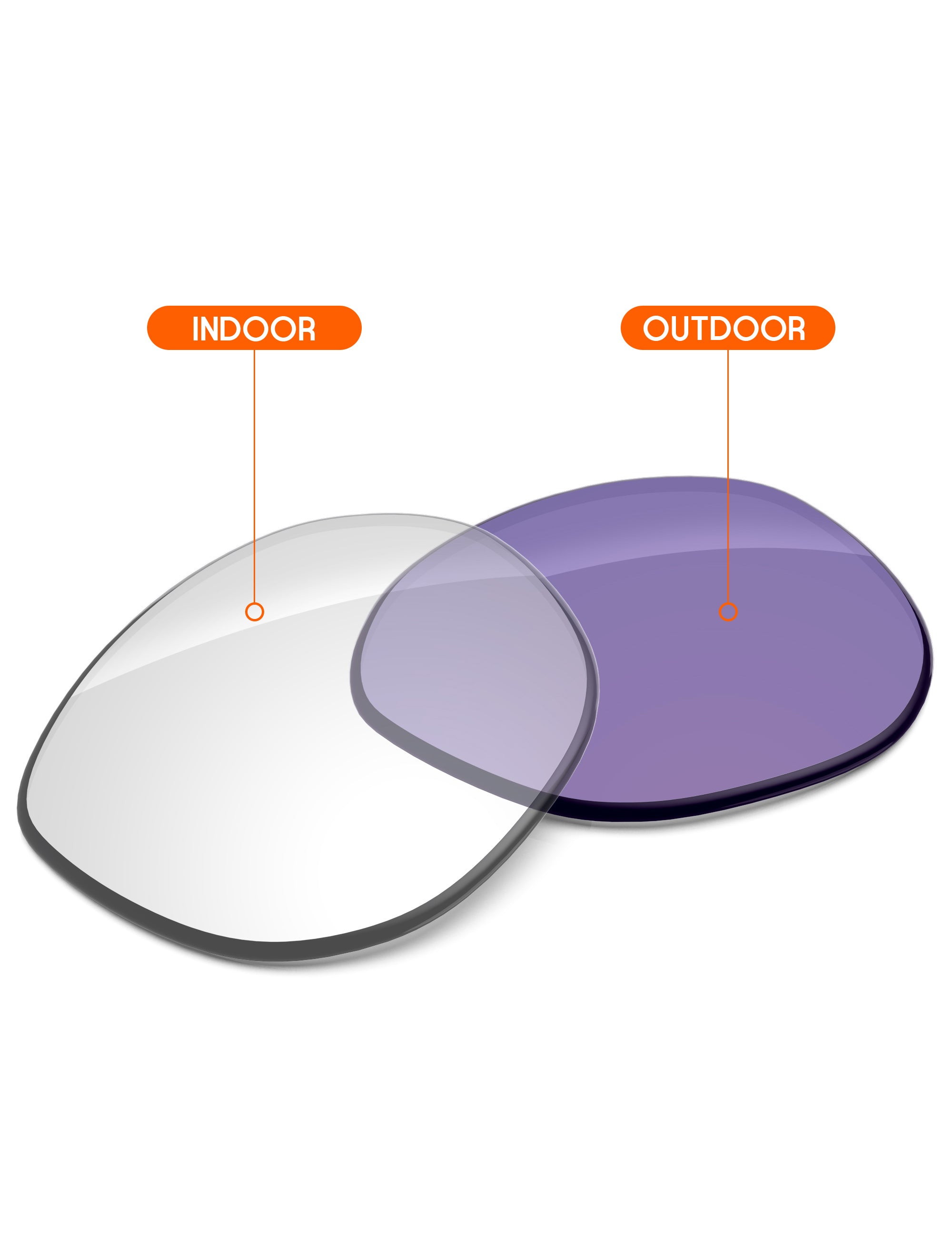 Adapt Purple Photochromic-Non-Polarized