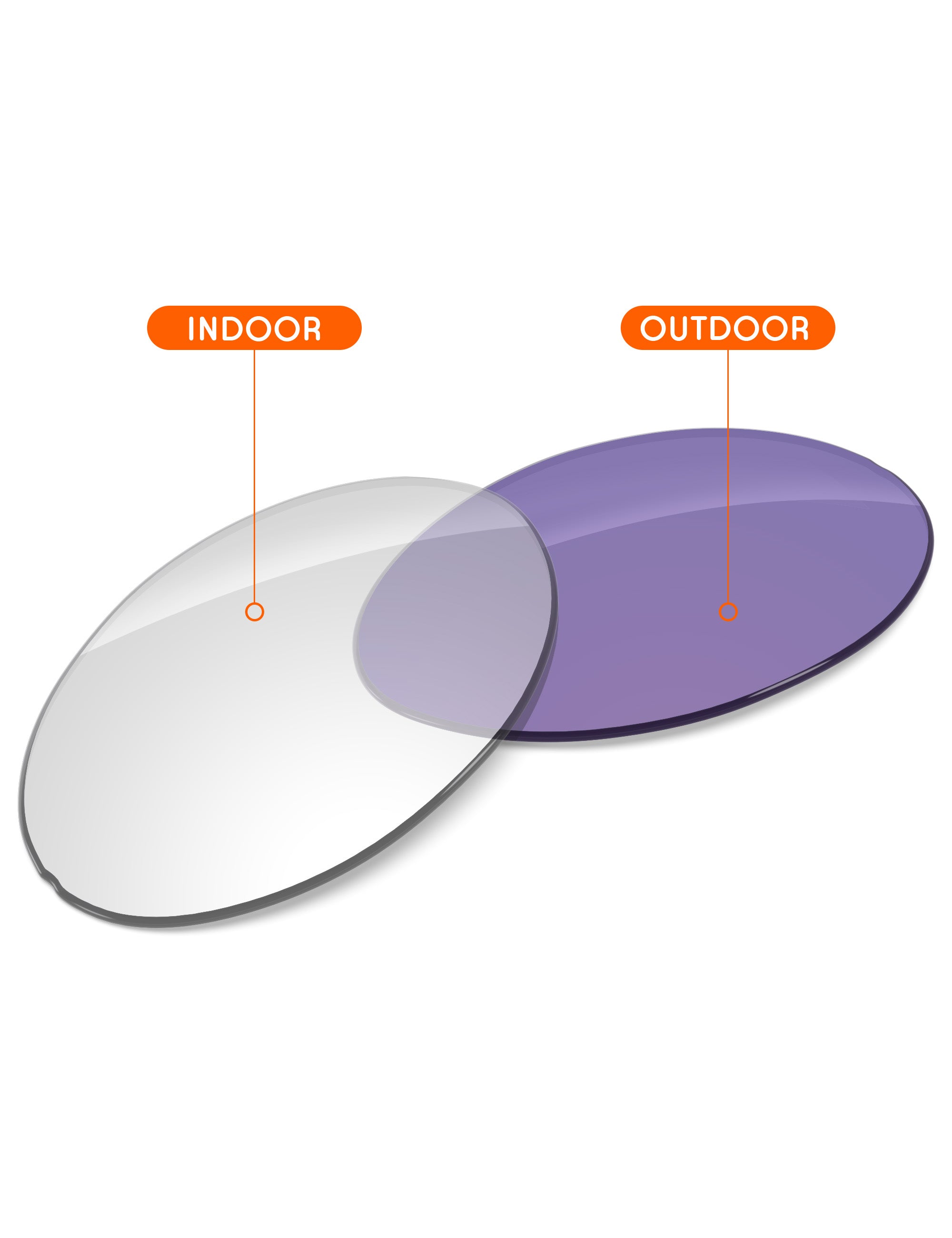 Adapt Purple Photochromic-Non-Polarized