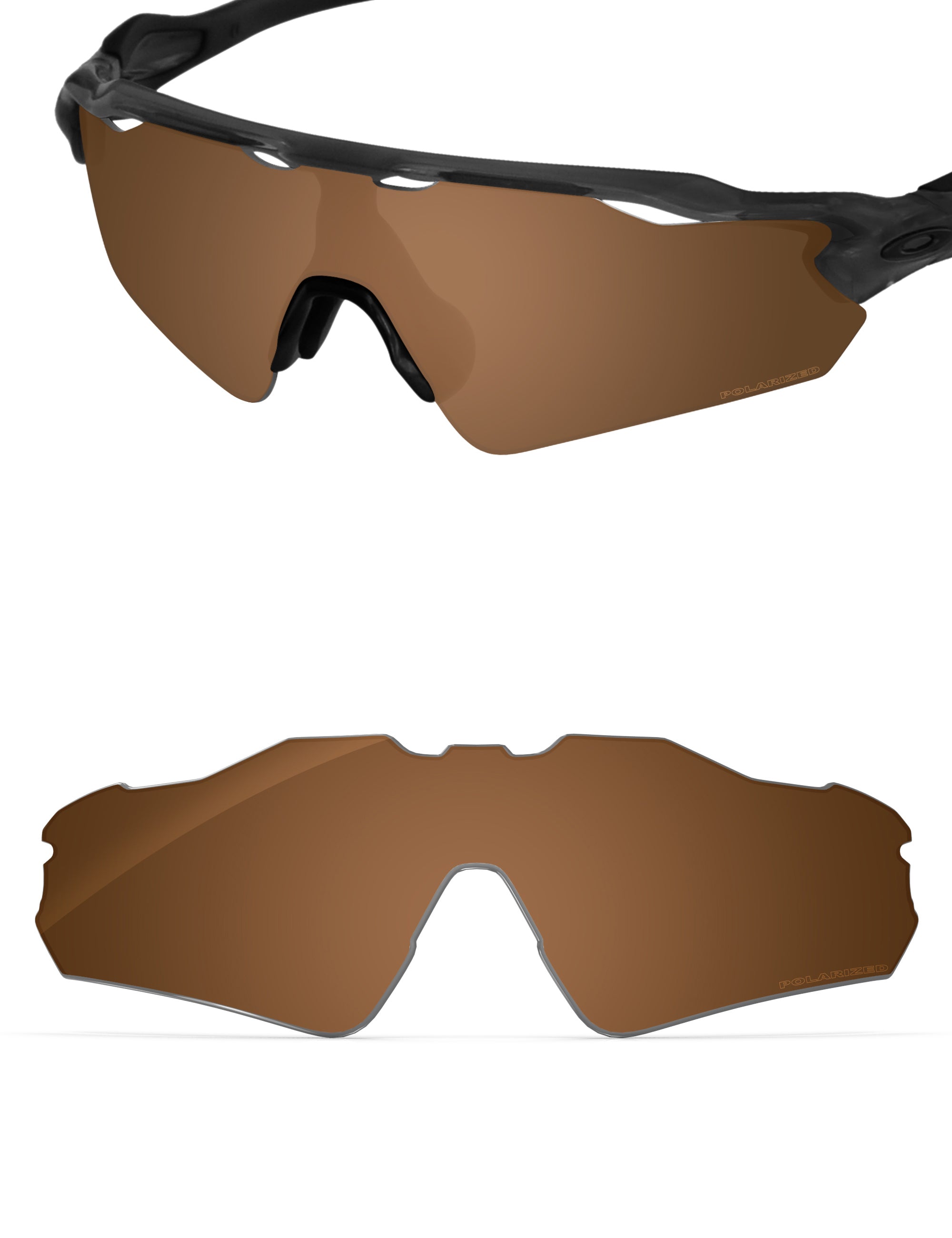 Nut Brown-Polarized