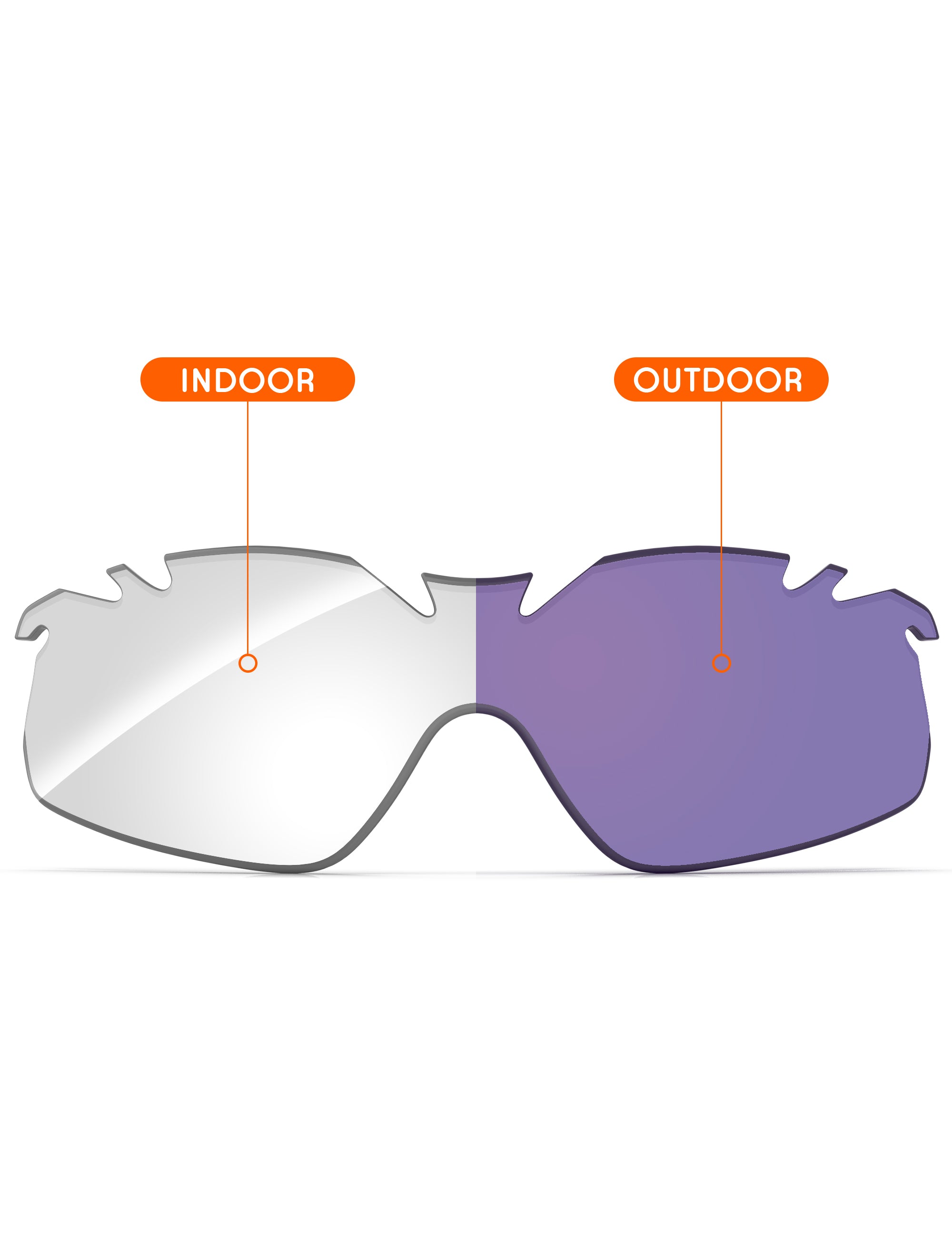 Adapt Purple Photochromic-Non-Polarized