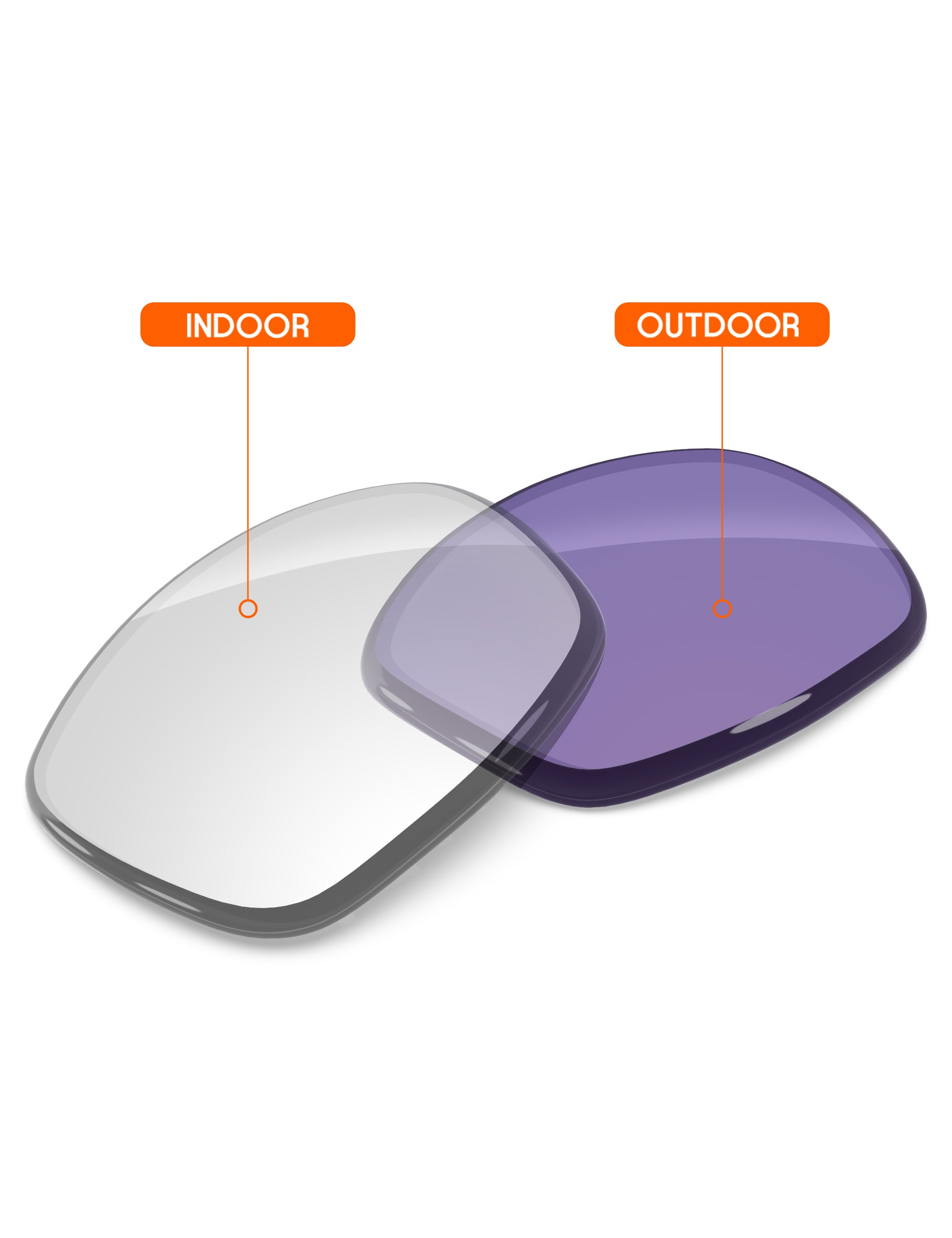 Adapt Purple Photochromic-Non-Polarized