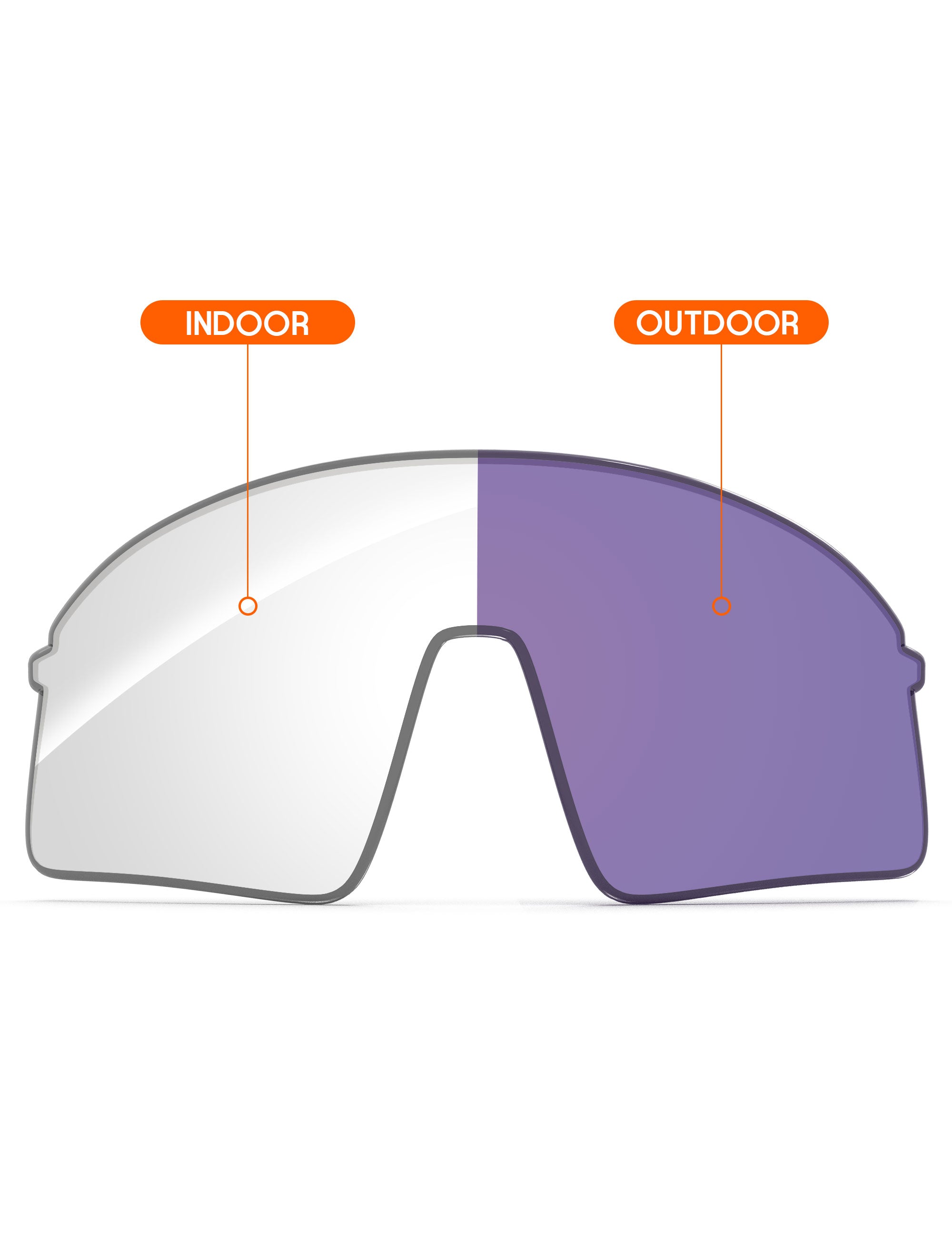 Adapt Purple Photochromic-Non-Polarized