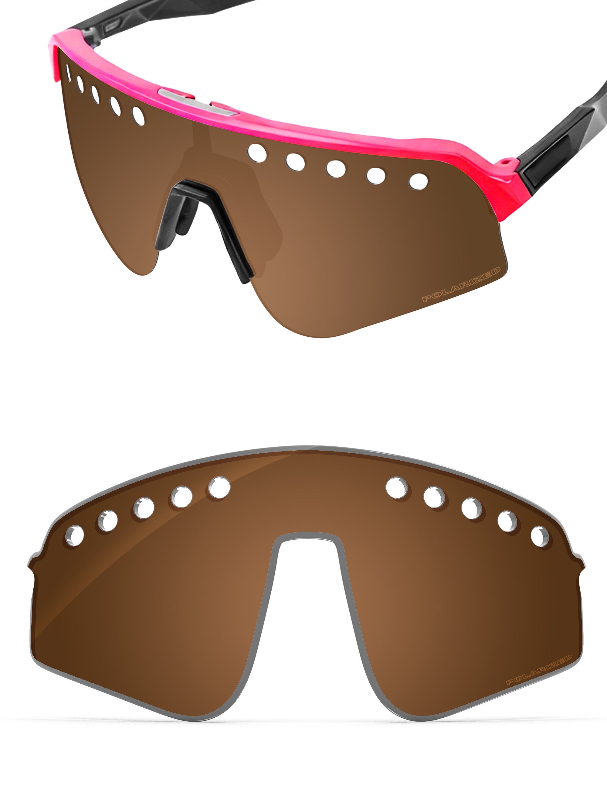 Nut Brown-Polarized
