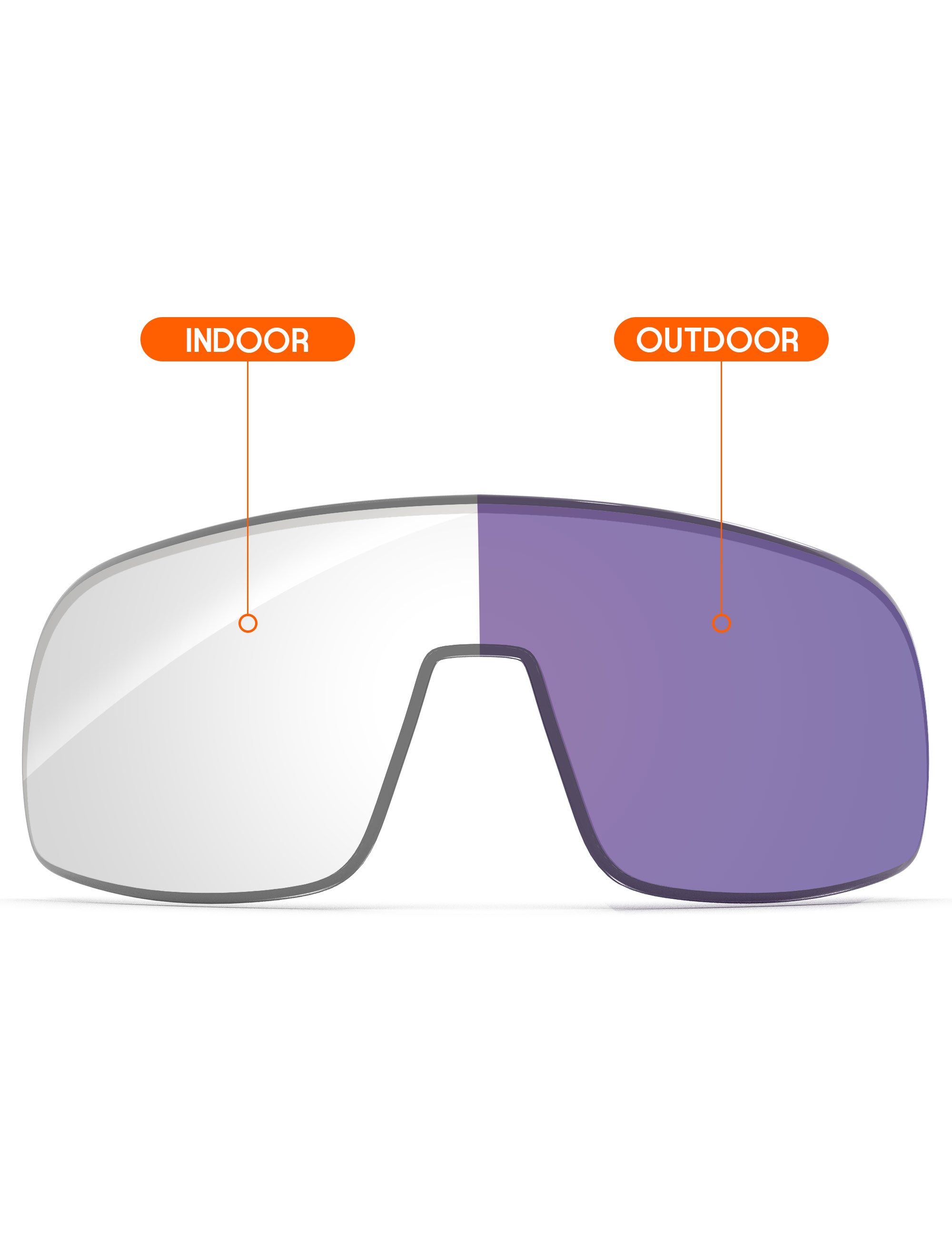 Adapt Purple Photochromic-Non-Polarized