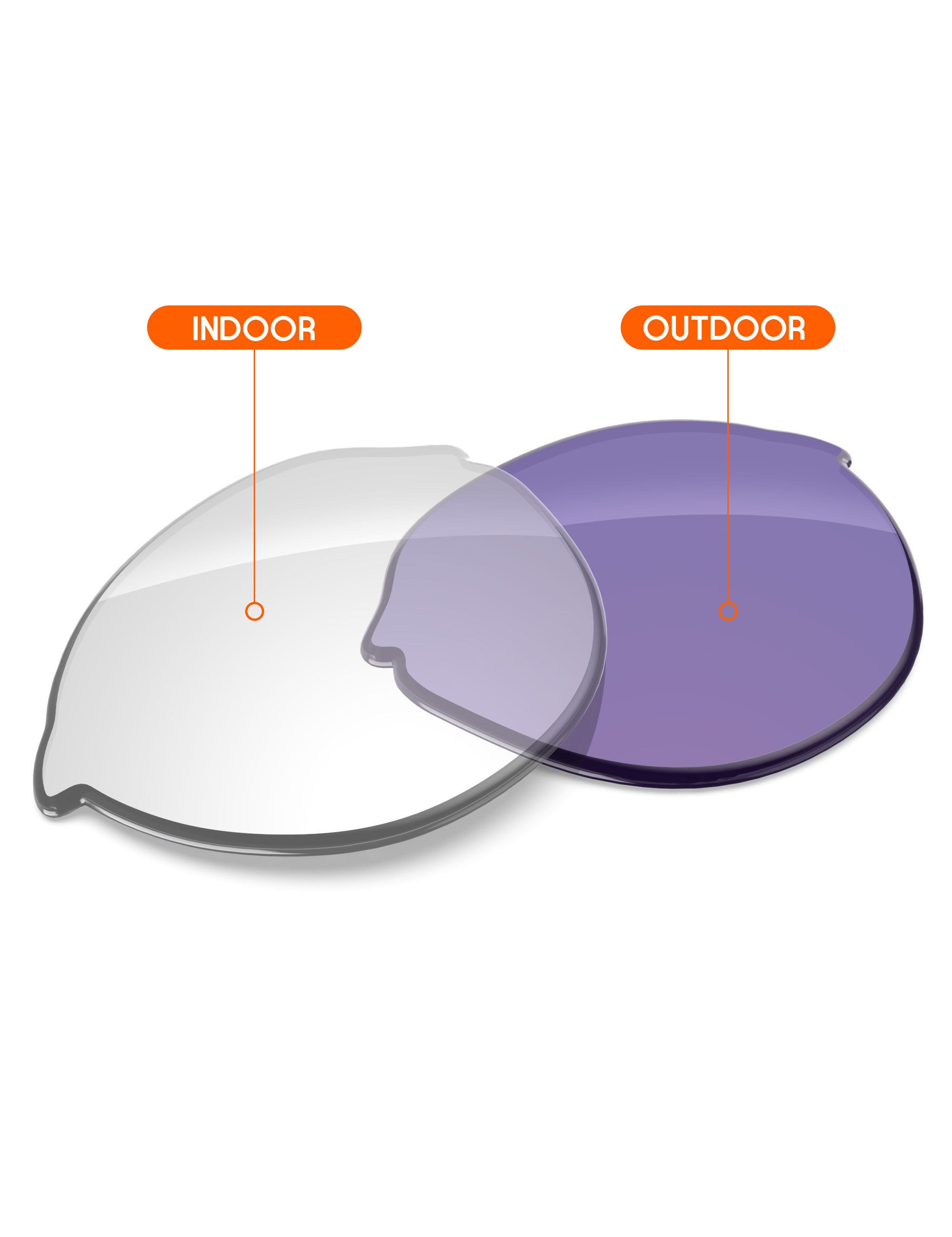 Adapt Purple Photochromic-Non-Polarized