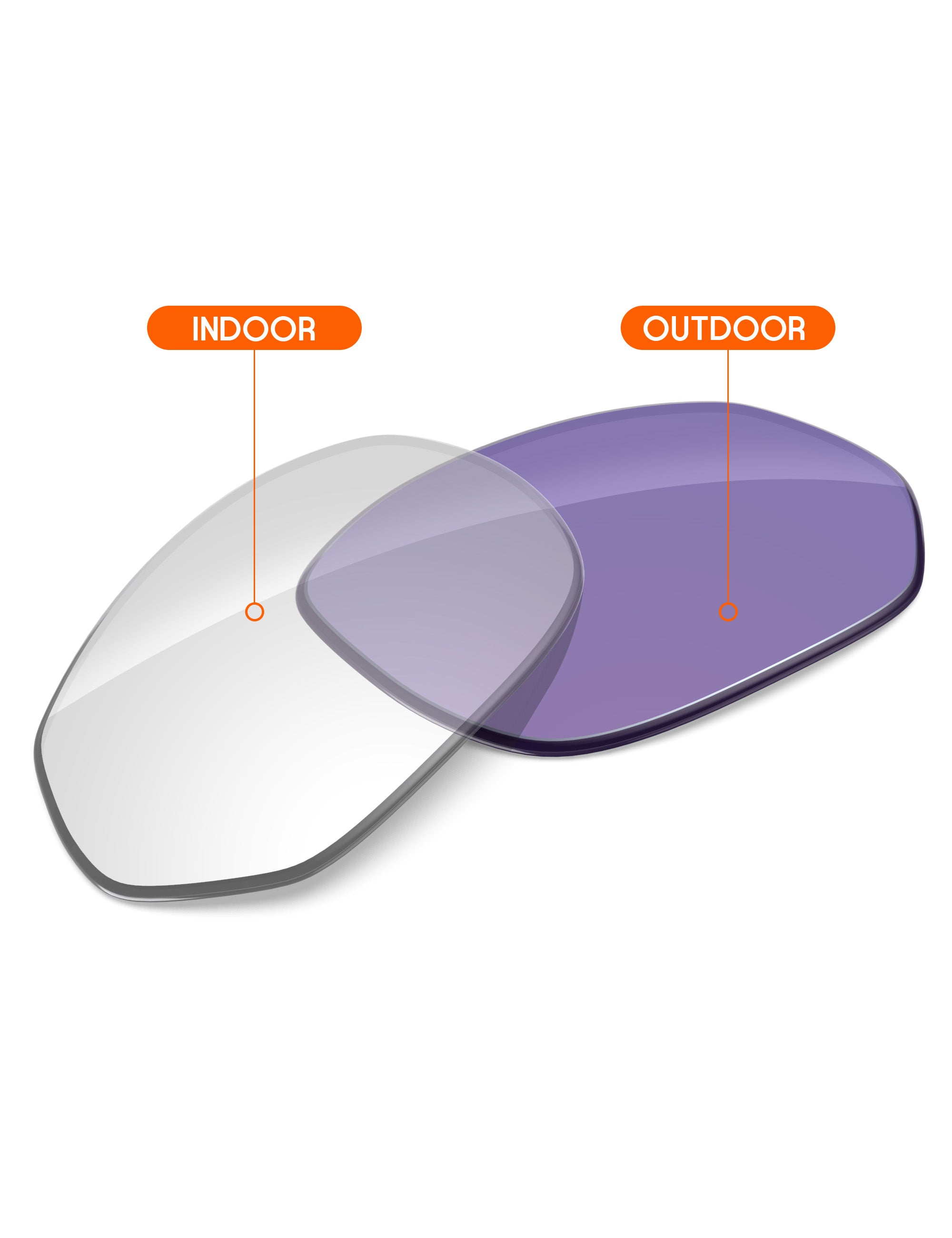 Adapt Purple Photochromic-Non-Polarized