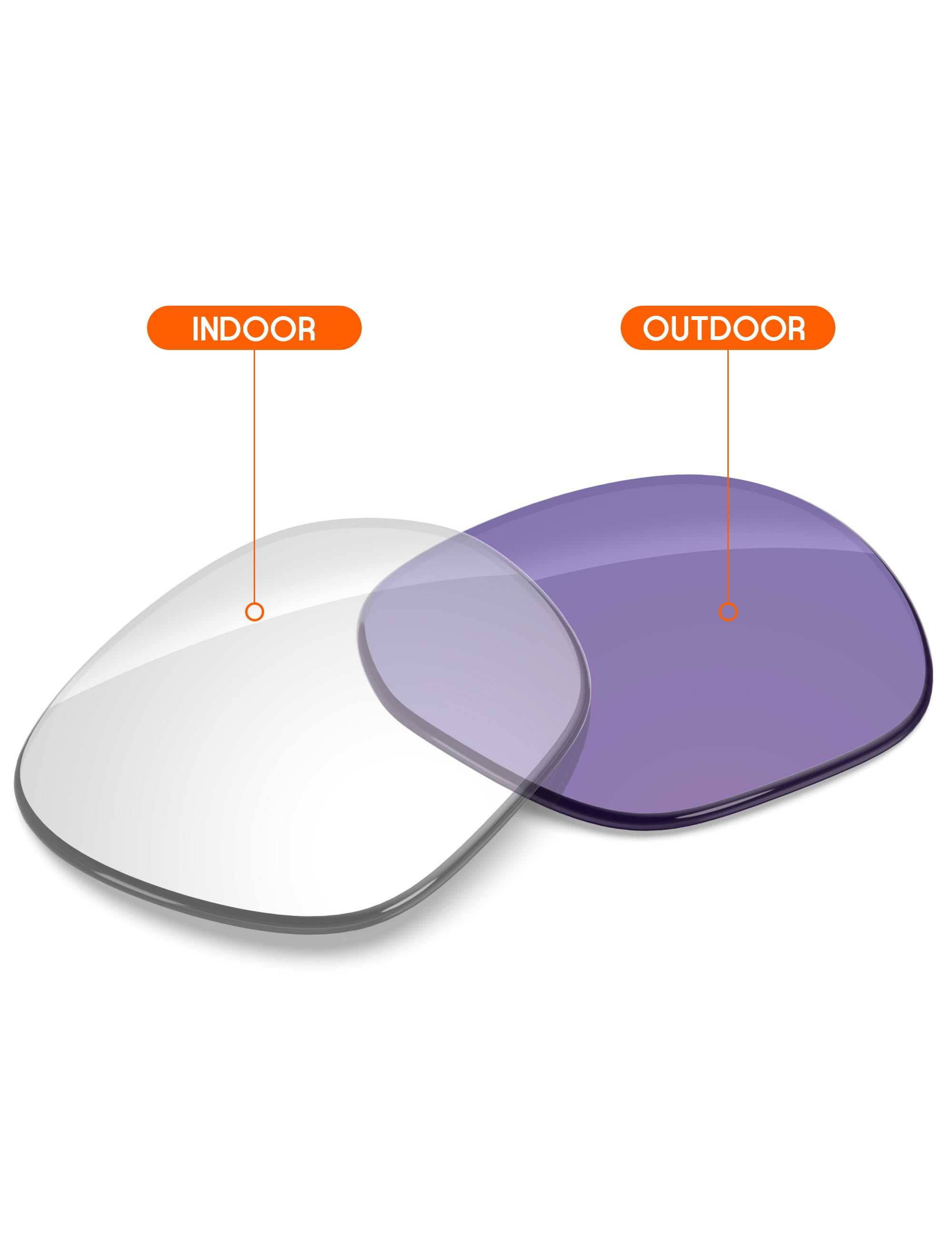 Adapt Purple Photochromic-Non-Polarized
