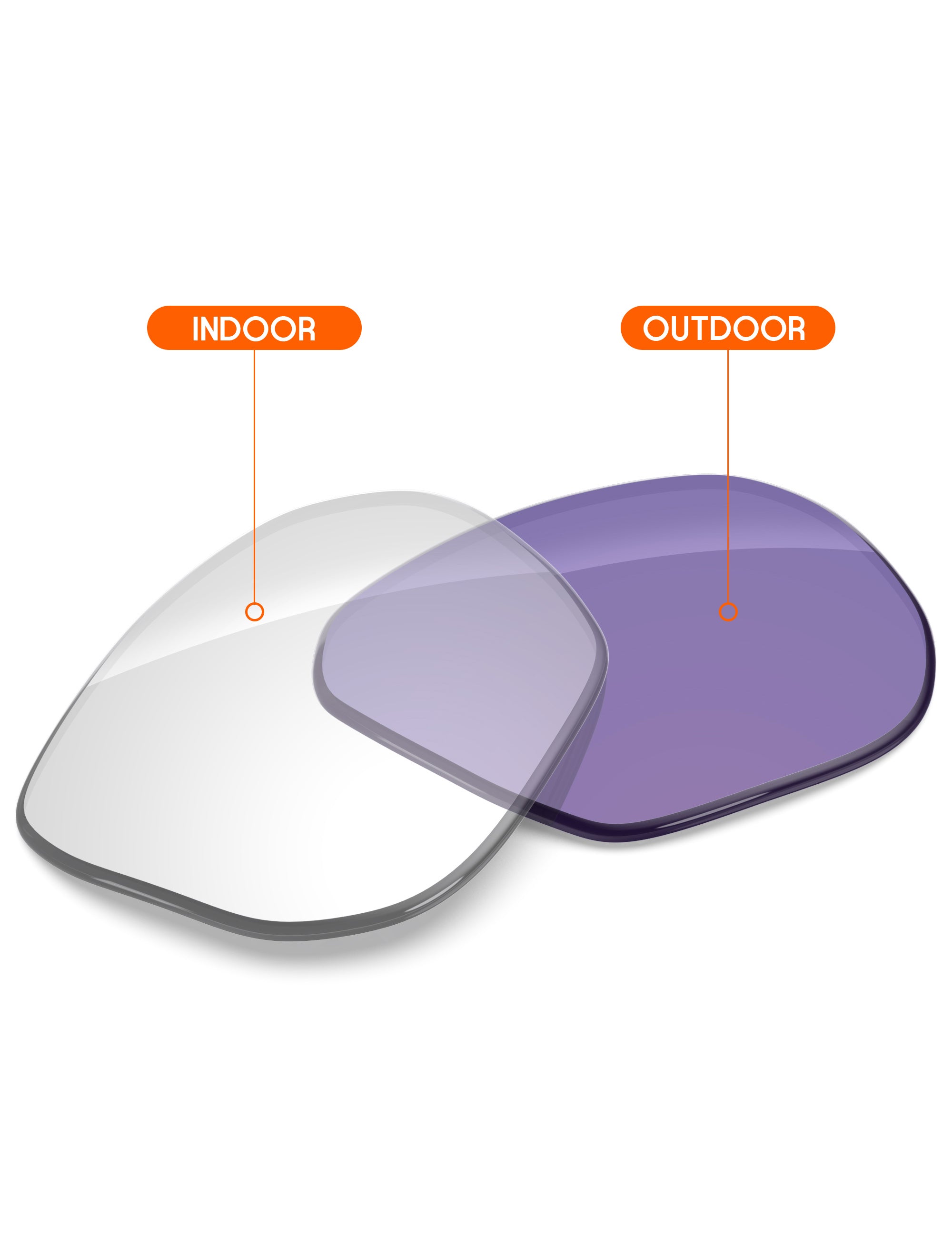 Adapt Purple Photochromic-Non-Polarized