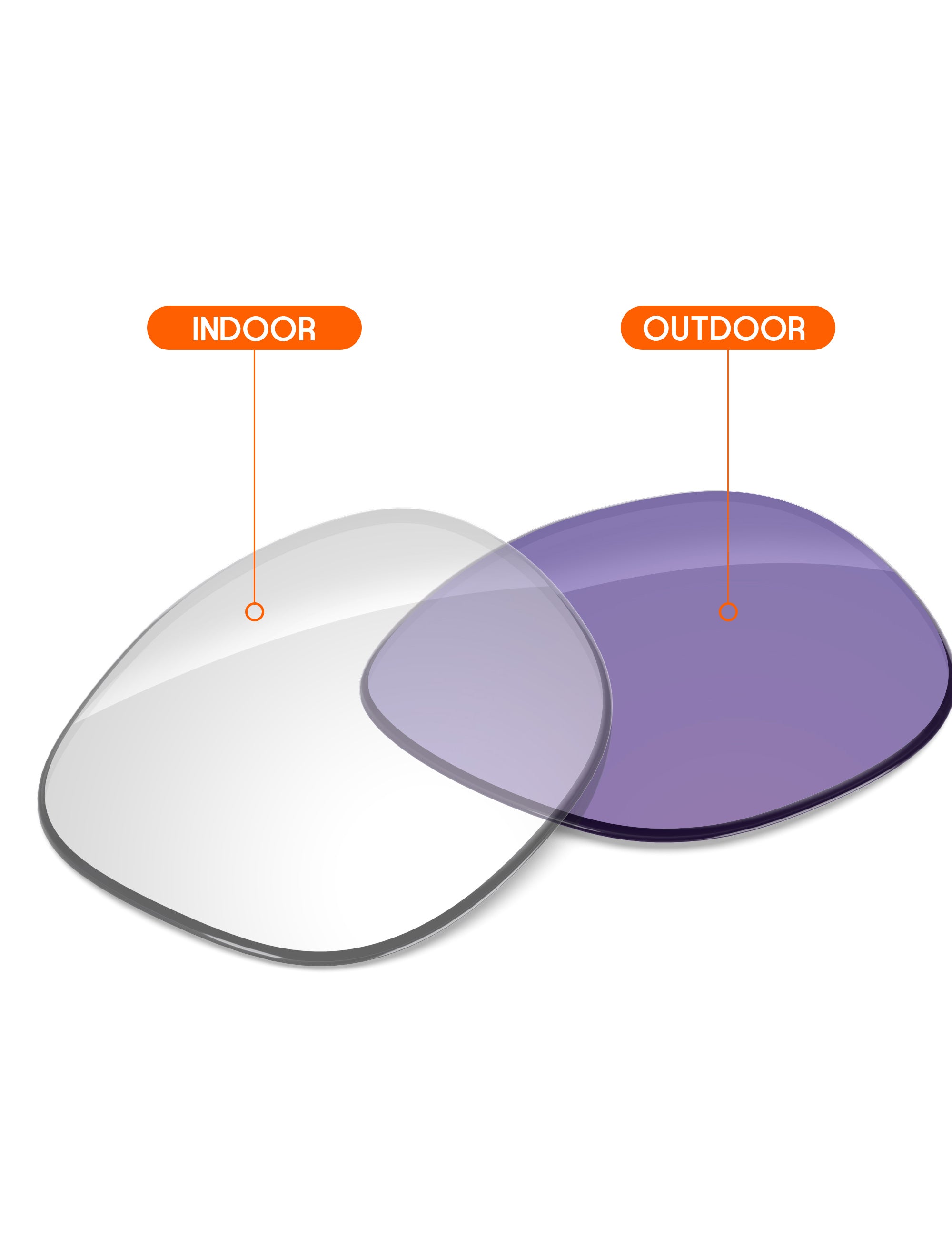 Adapt Purple Photochromic-Non-Polarized