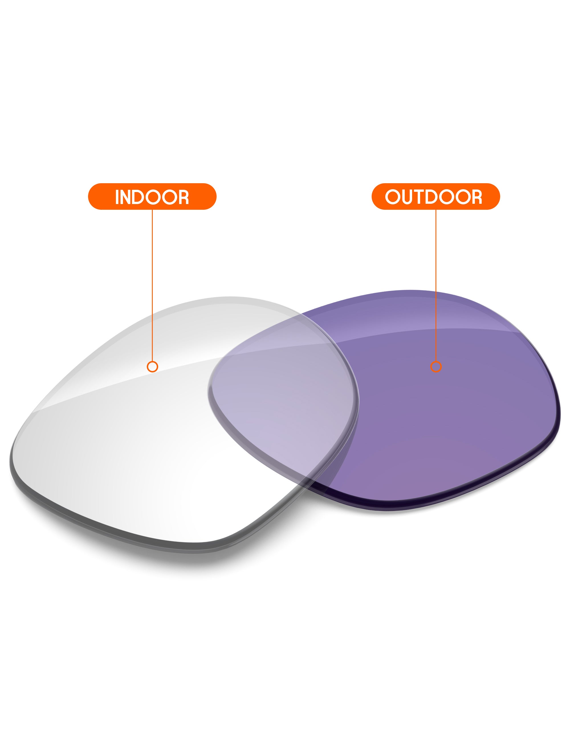 Adapt Purple Photochromic-Non-Polarized