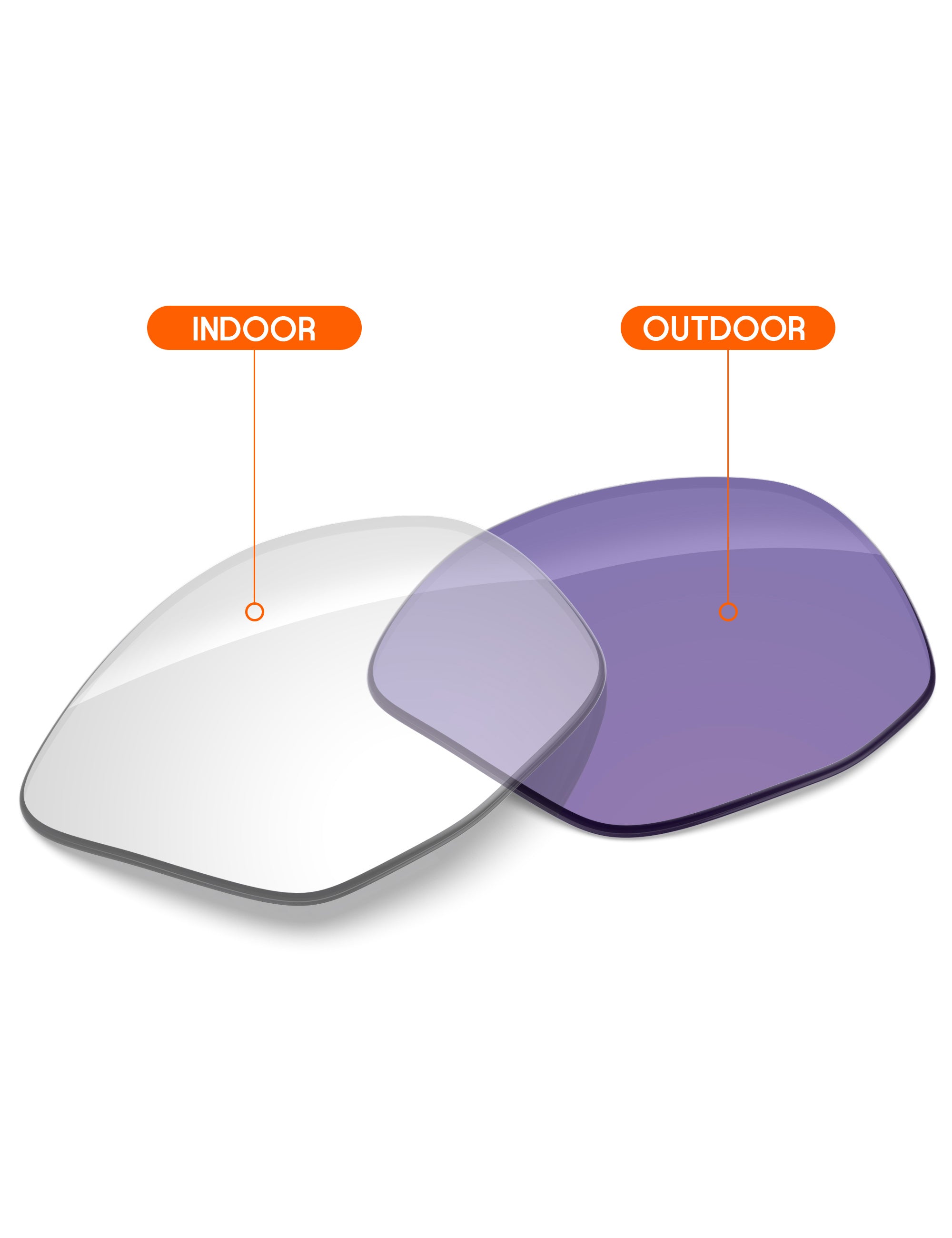 Adapt Purple Photochromic-Non-Polarized