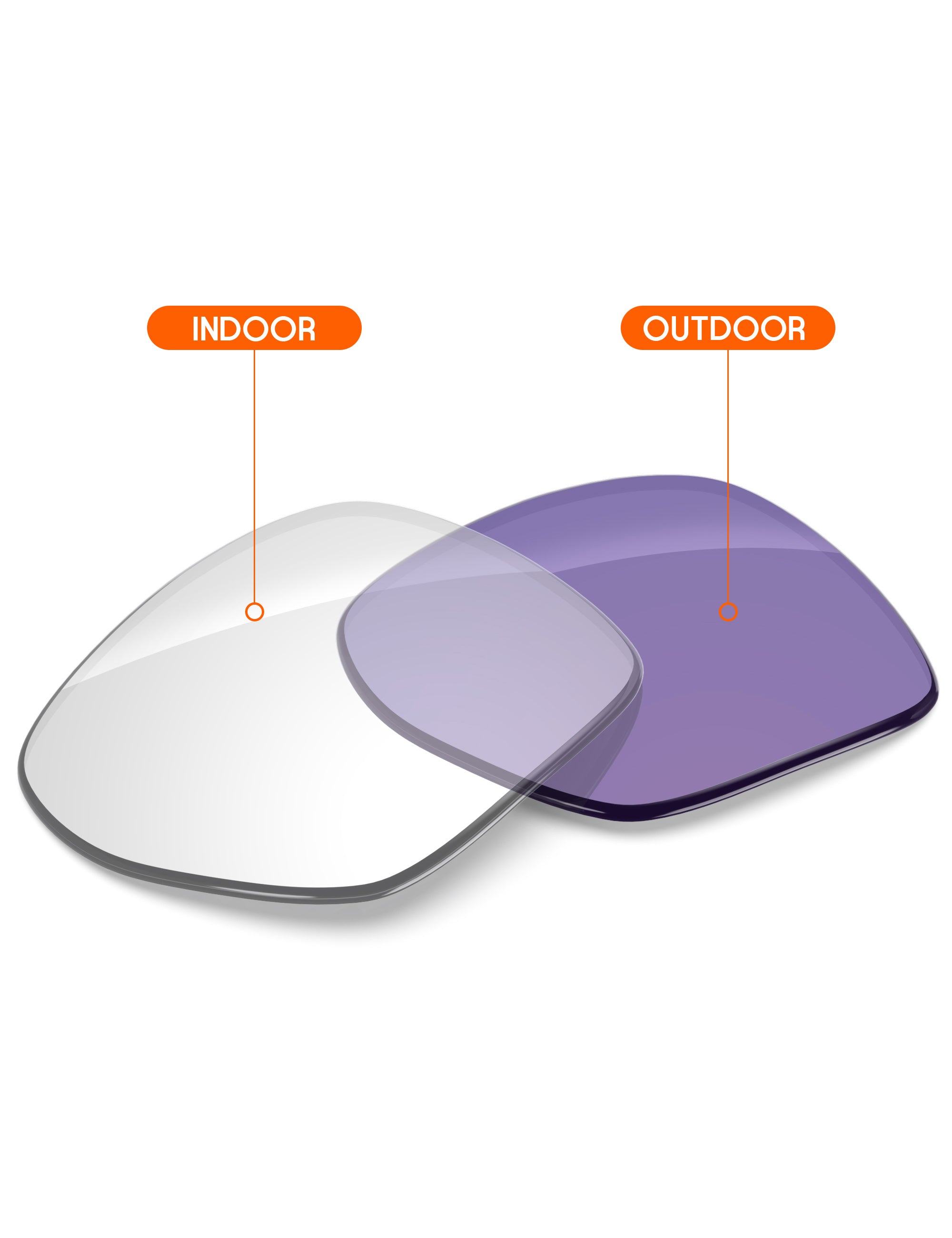 Adapt Purple Photochromic-Non-Polarized