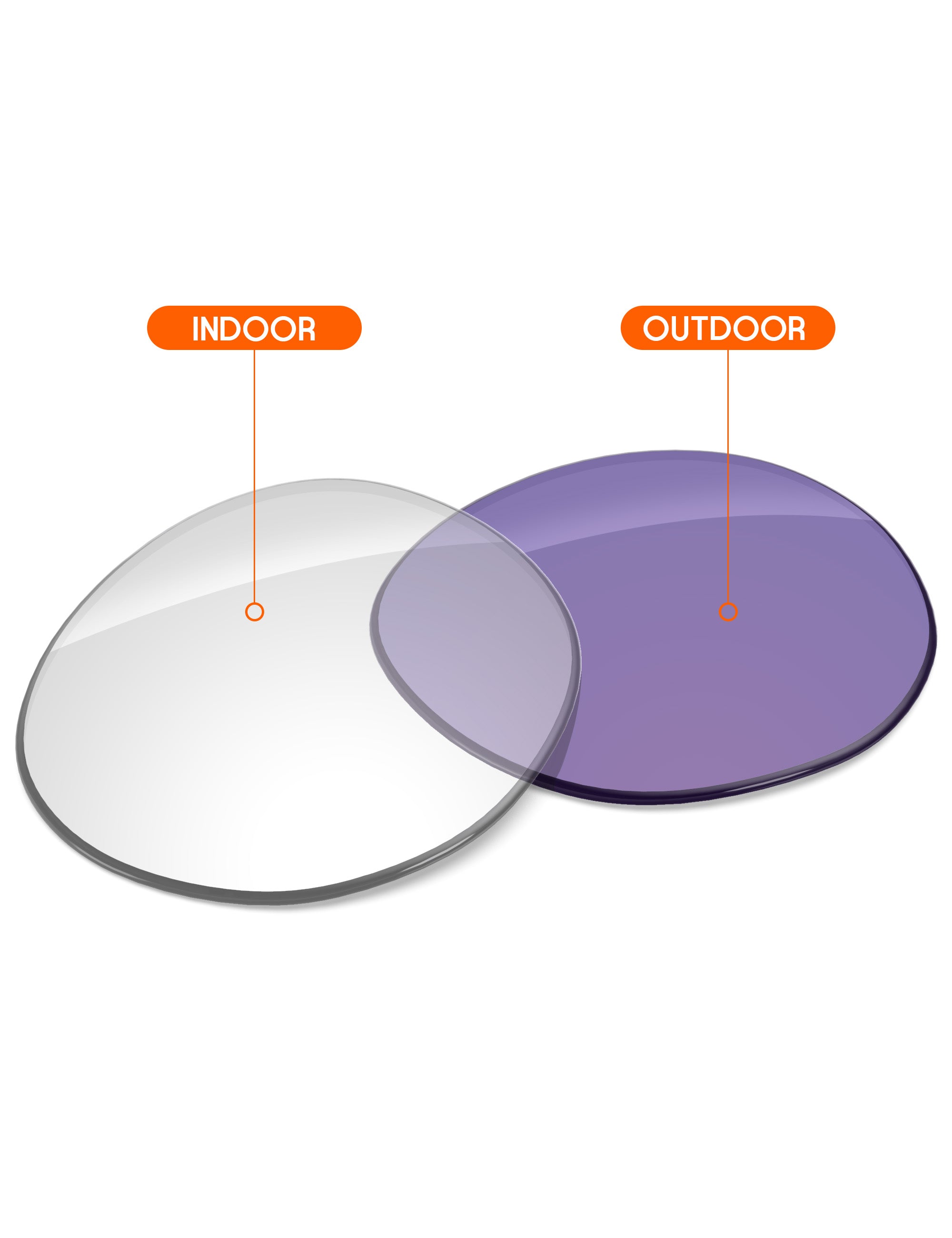 Adapt Purple Photochromic-Non-Polarized
