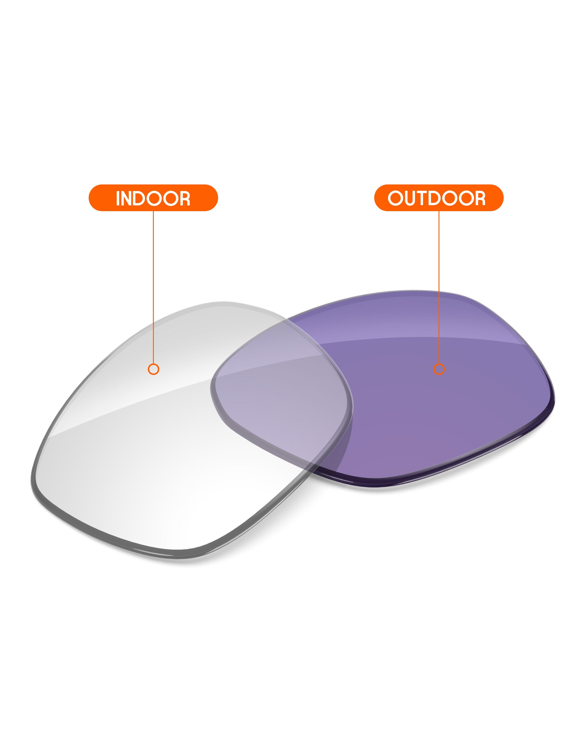 Adapt Purple Photochromic-Non-Polarized