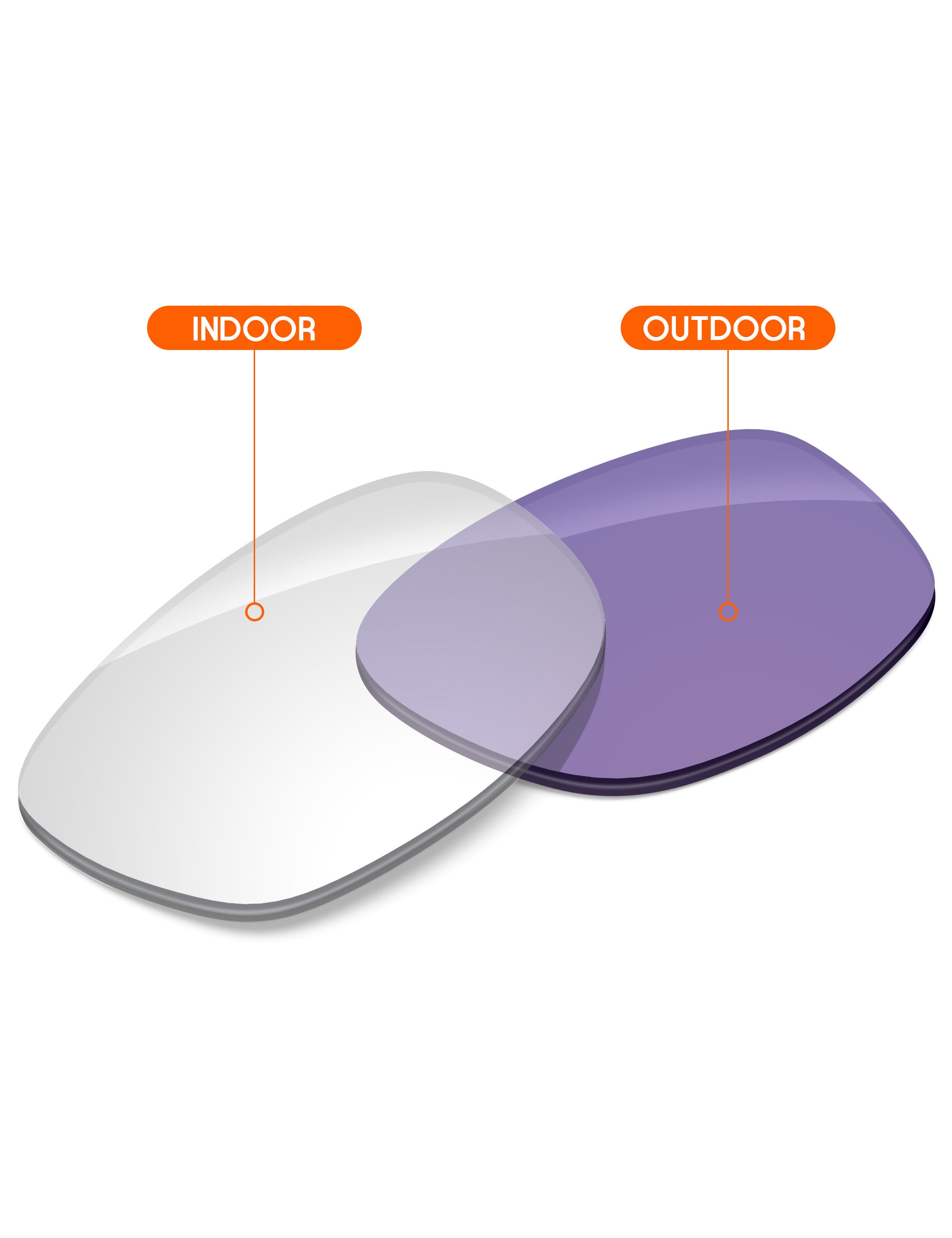 Adapt Purple Photochromic-Non-Polarized
