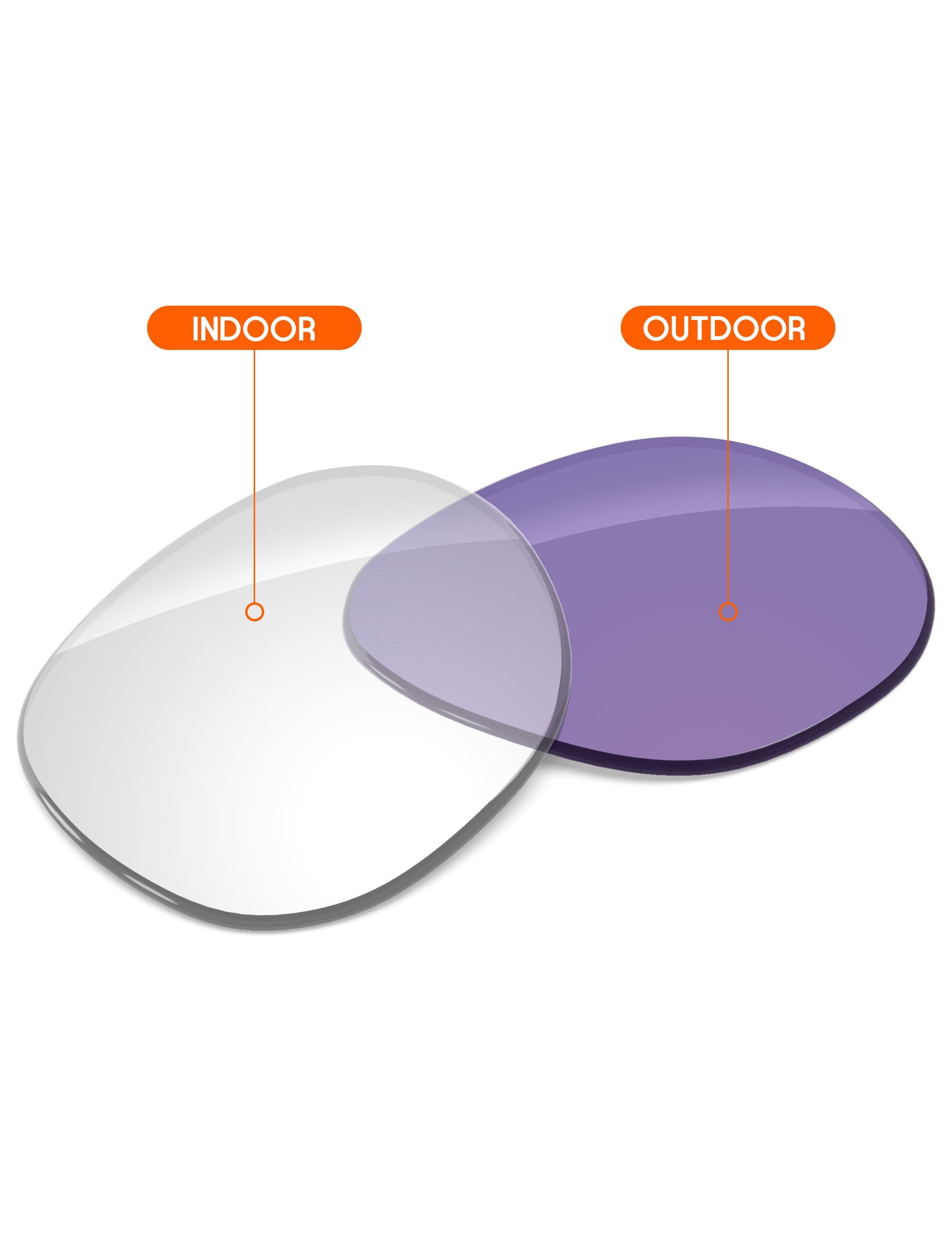 Adapt Purple Photochromic-Non-Polarized