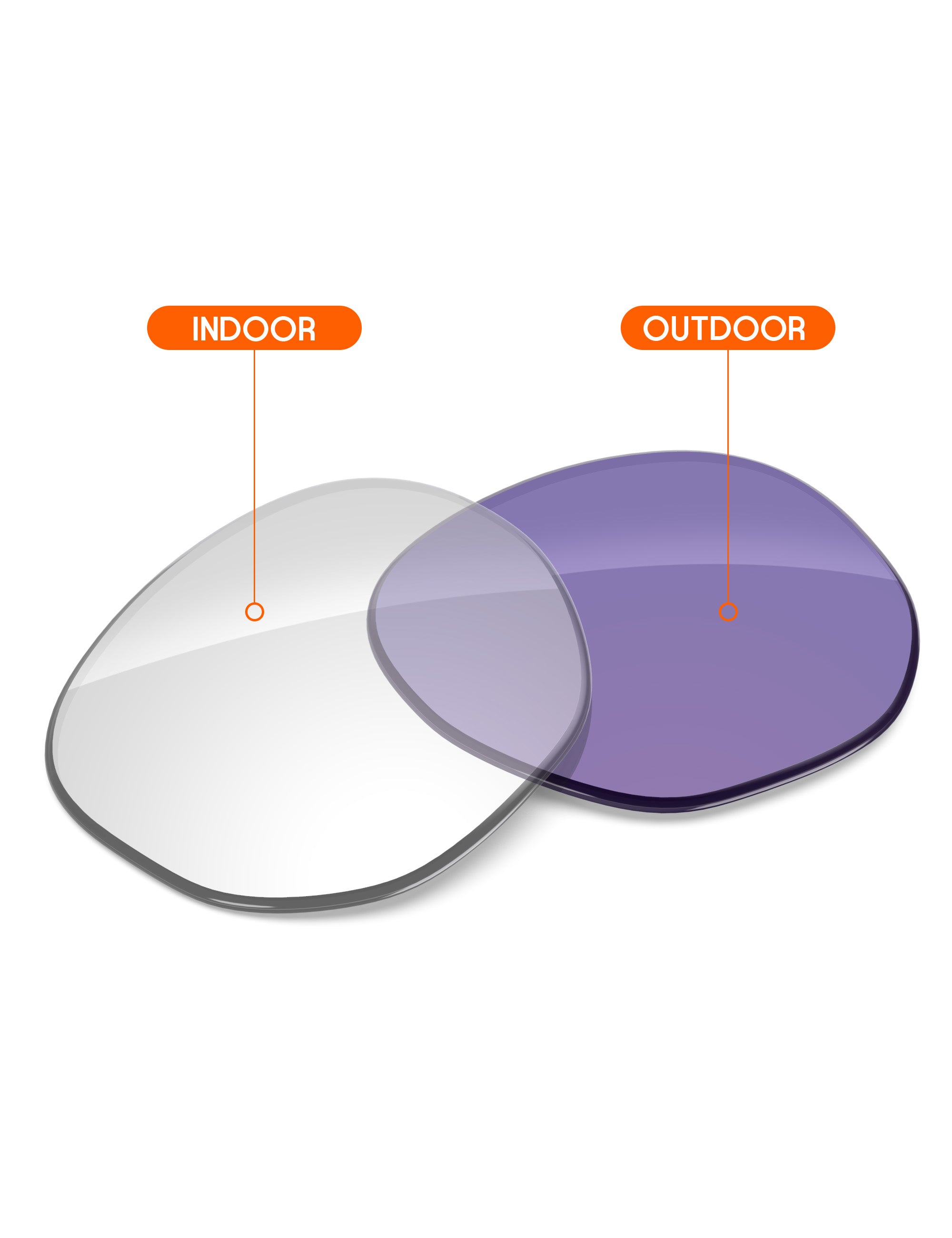Adapt Purple Photochromic-Non-Polarized