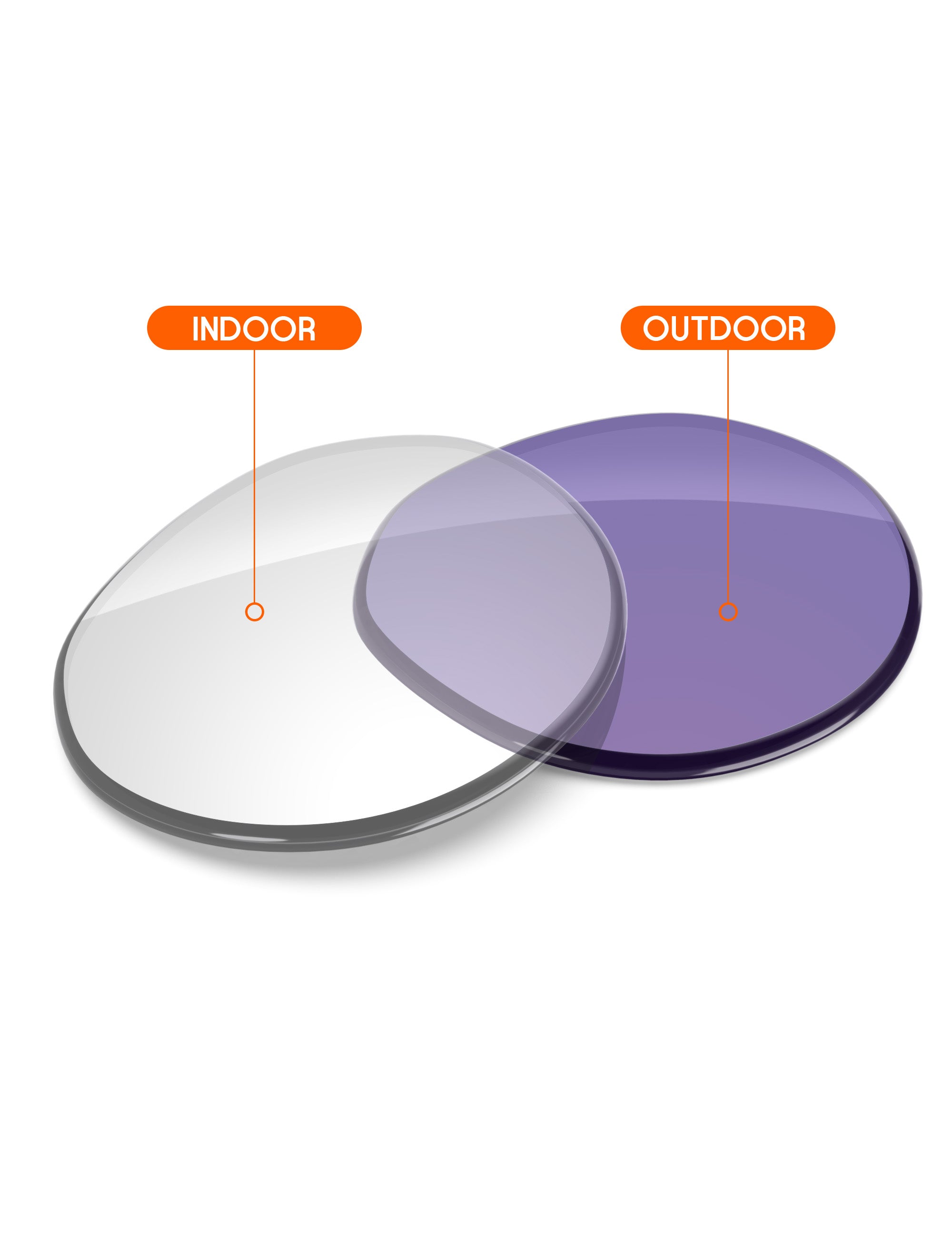Adapt Purple Photochromic-Non-Polarized