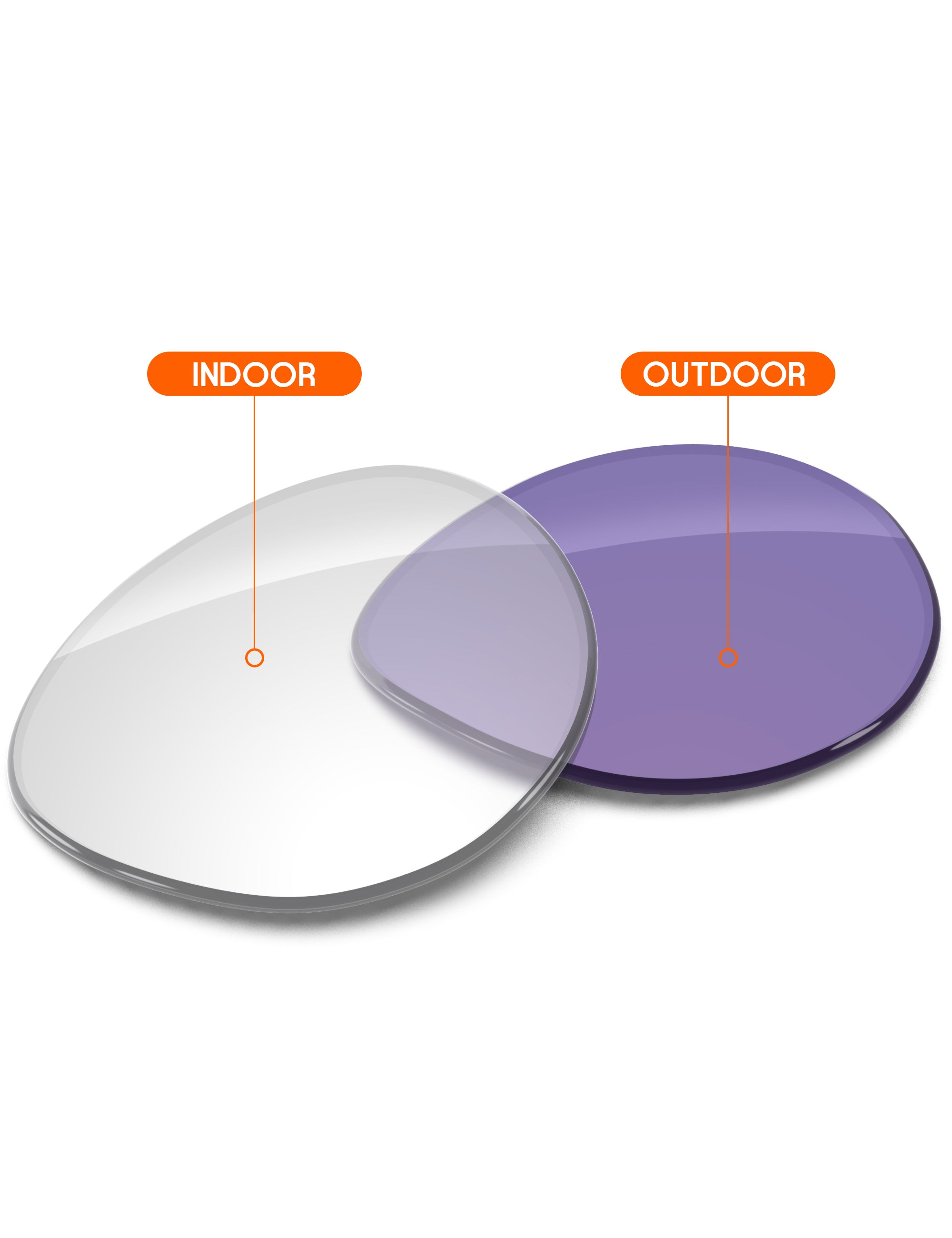 Adapt Purple Photochromic-Non-Polarized