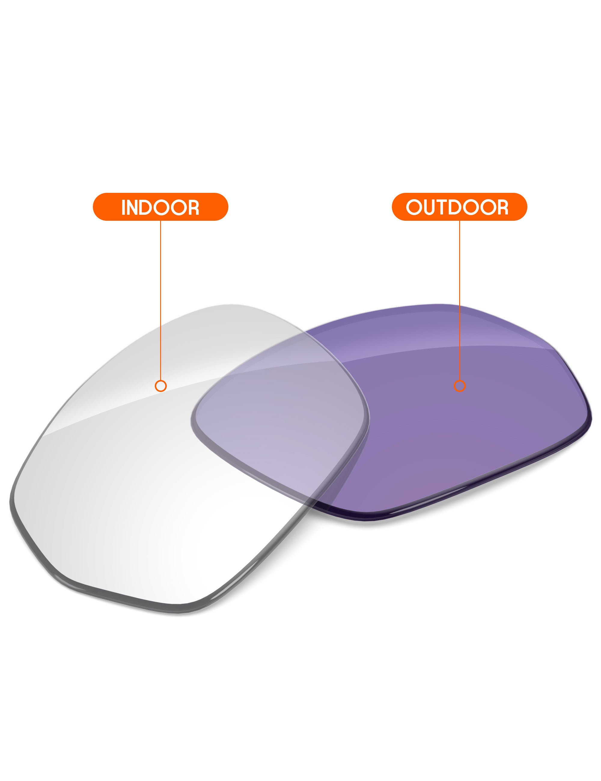 Adapt Purple Photochromic-Non-Polarized
