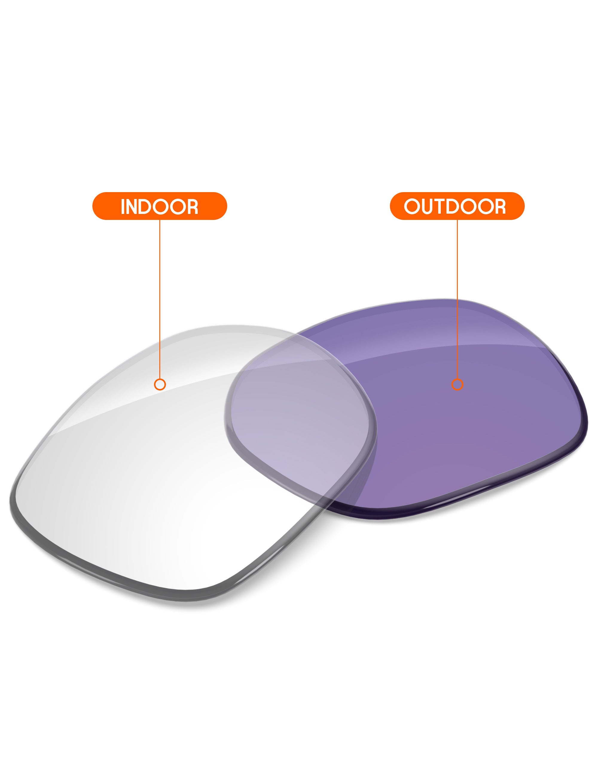 Adapt Purple Photochromic-Non-Polarized