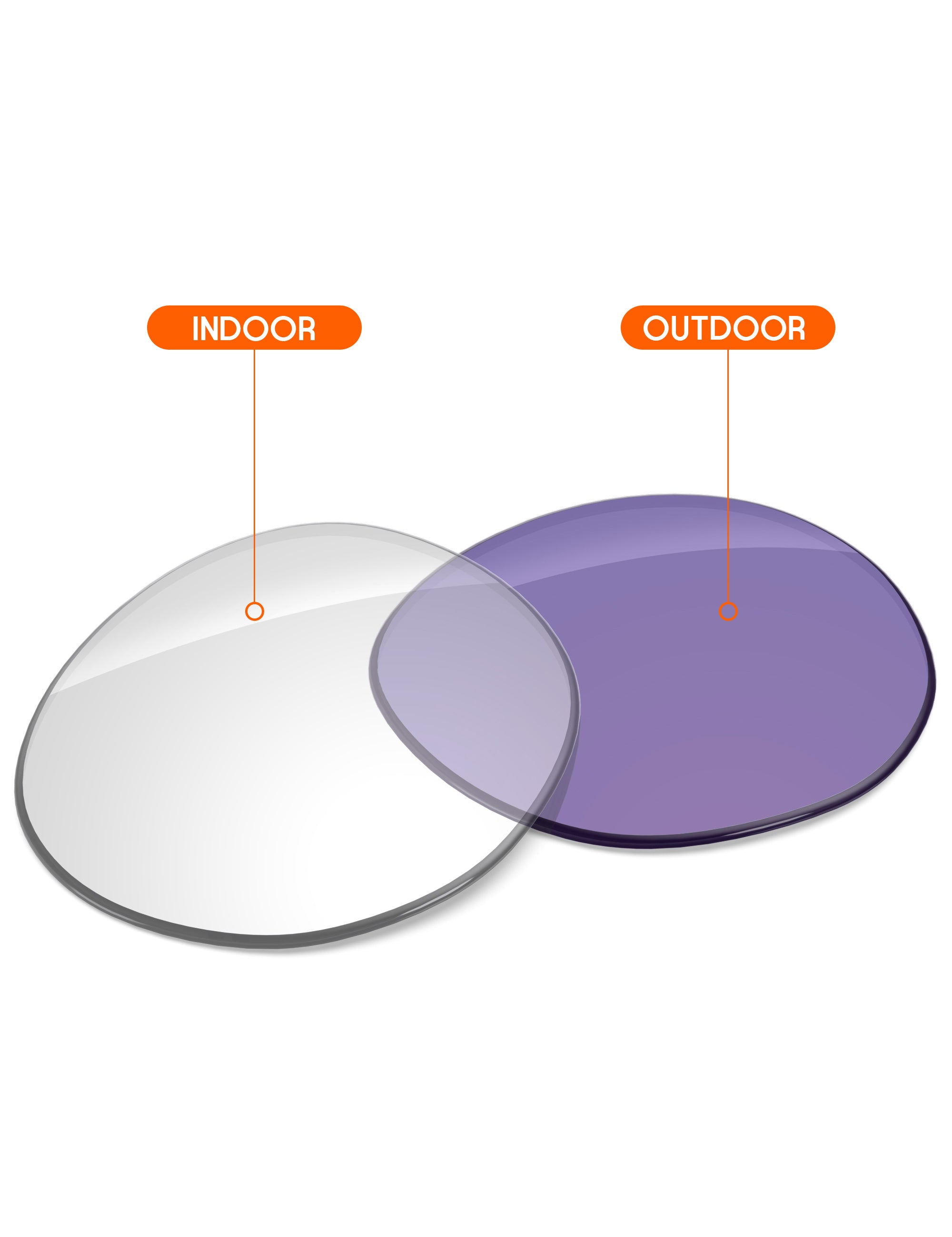 Adapt Purple Photochromic-Non-Polarized