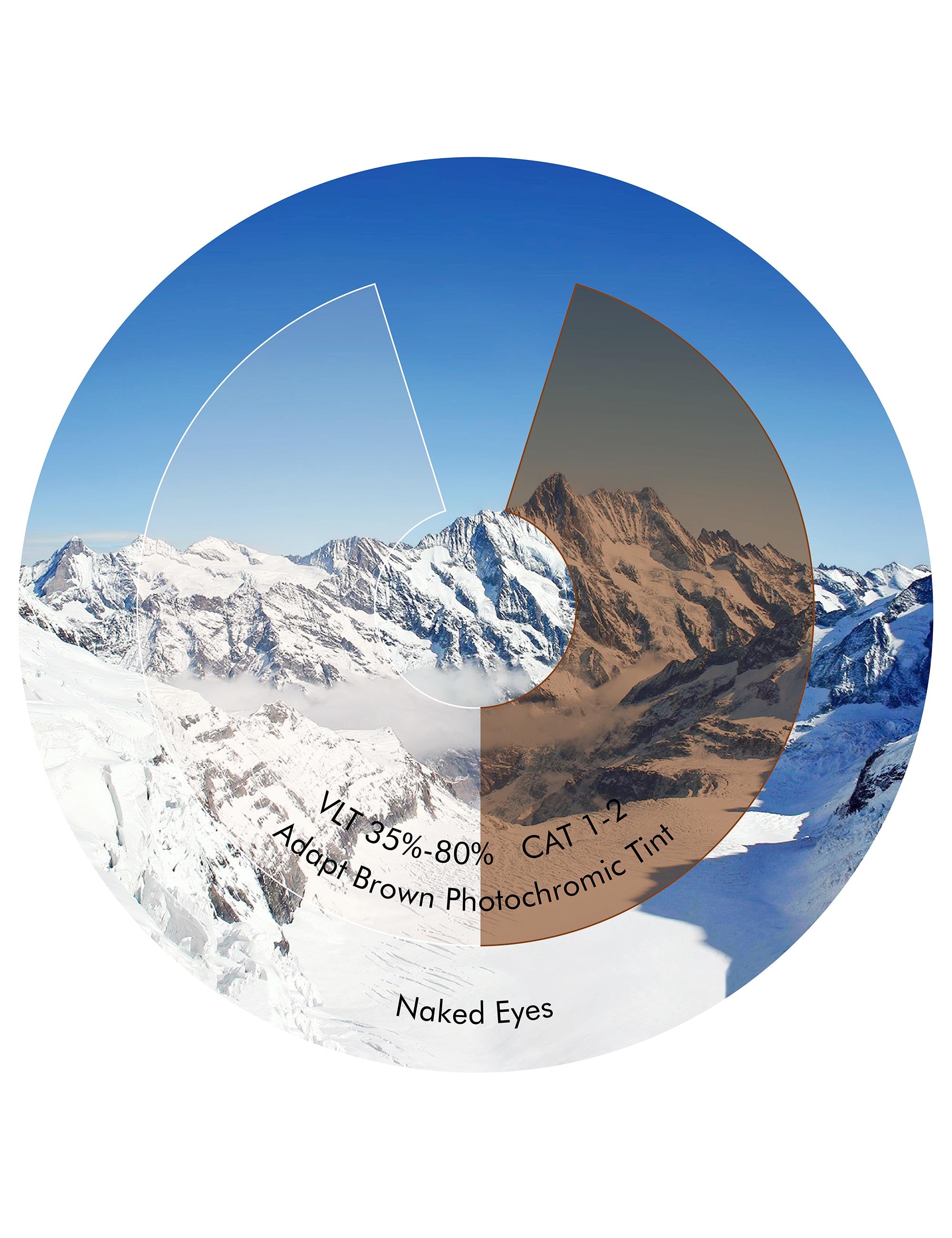 Adapt Brown Photochromic-Non-Polarized